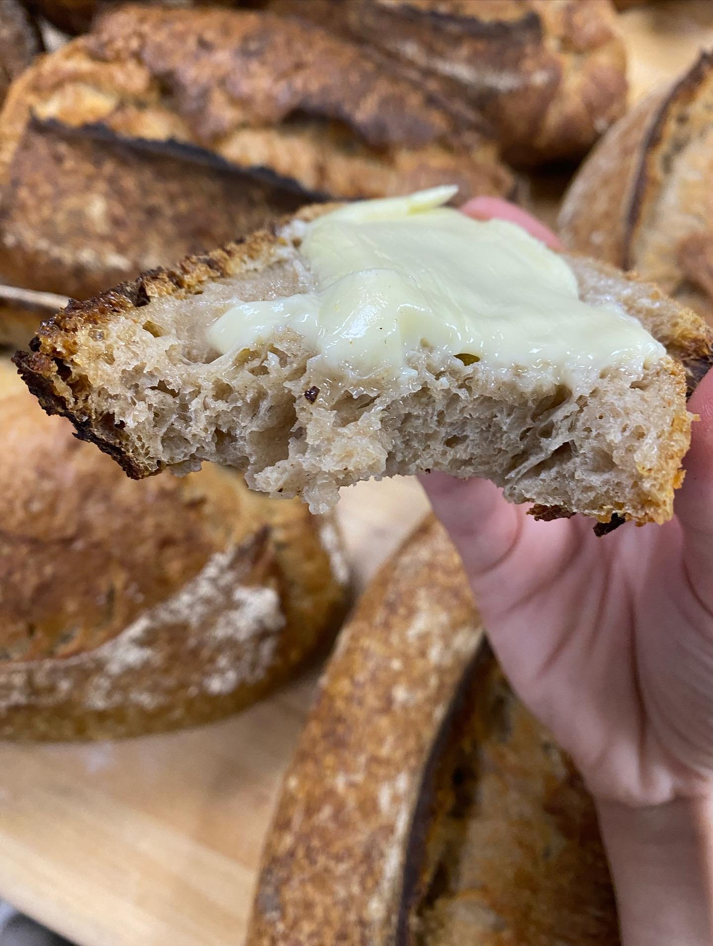 Today was my last Pantry Bread bake for a while. So grateful for all of the support. So grateful for @cloudmountainkombucha hosting pick-ups for the last couple of years. This has grown significantly, I keep using up more table space and they just ke