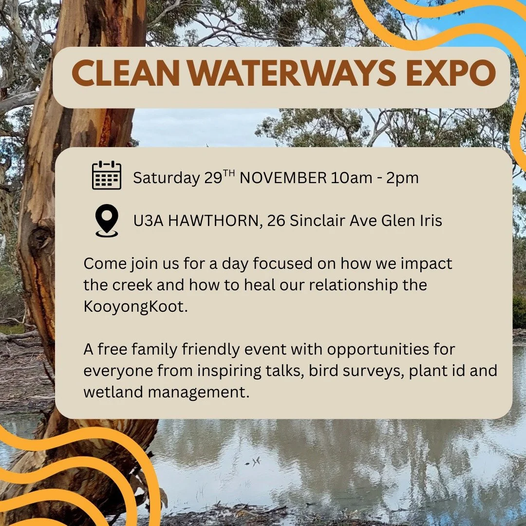 This expo is a great opportunity to come together and connect with the KooyongKoot. 

Throughout the day there will be inspiring discussions about how to handle litter, fighting polystyrene pollution, how stormwater affects the wetland health and the