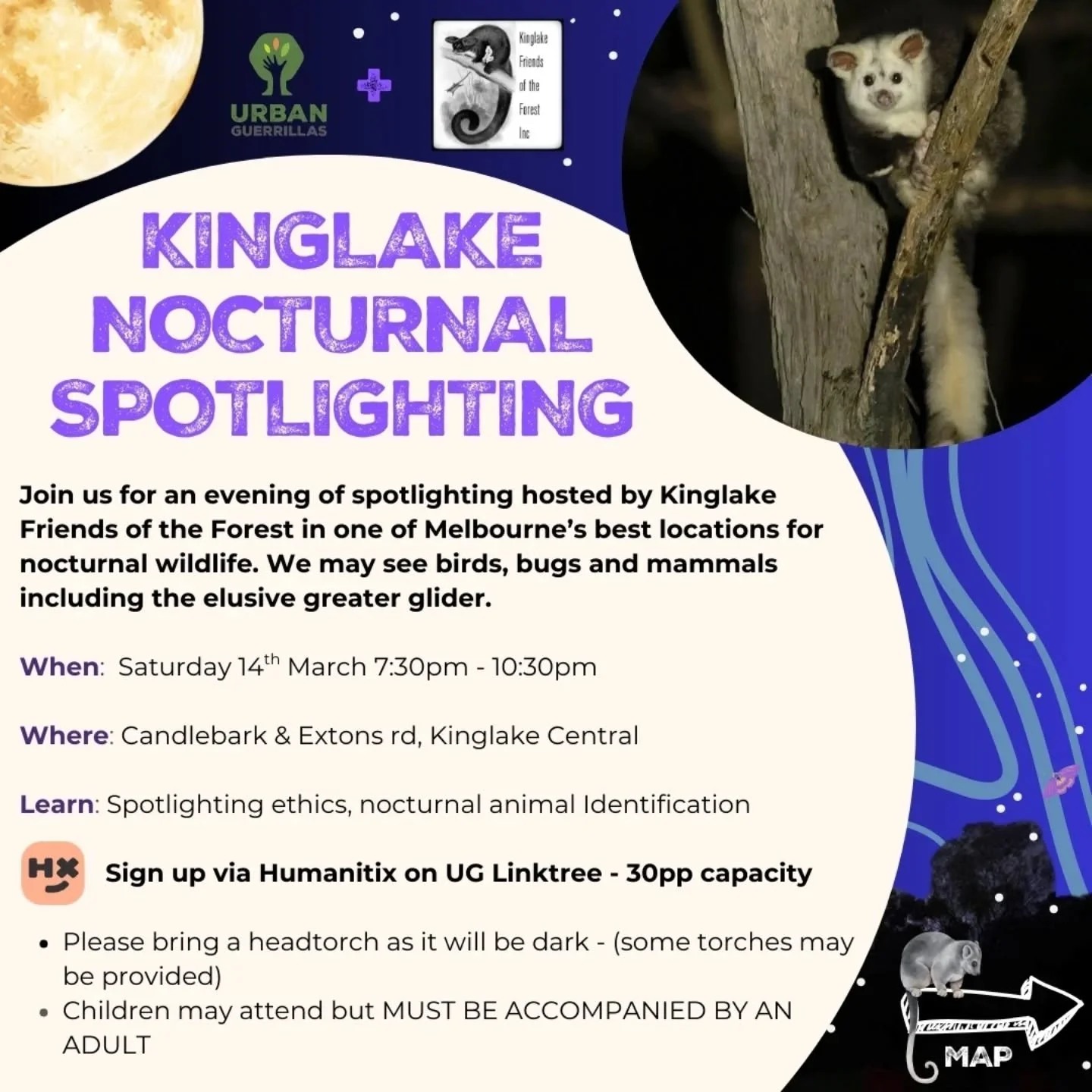Step foot into the wonderful nocturnal world that is our Victorian Forests 🌌🌙 (Link in Bio and further instructions in Humanitix)!

We're proud to collab with @kinglakefriendsoftheforest who have been advocating for the protection of the Victorian 