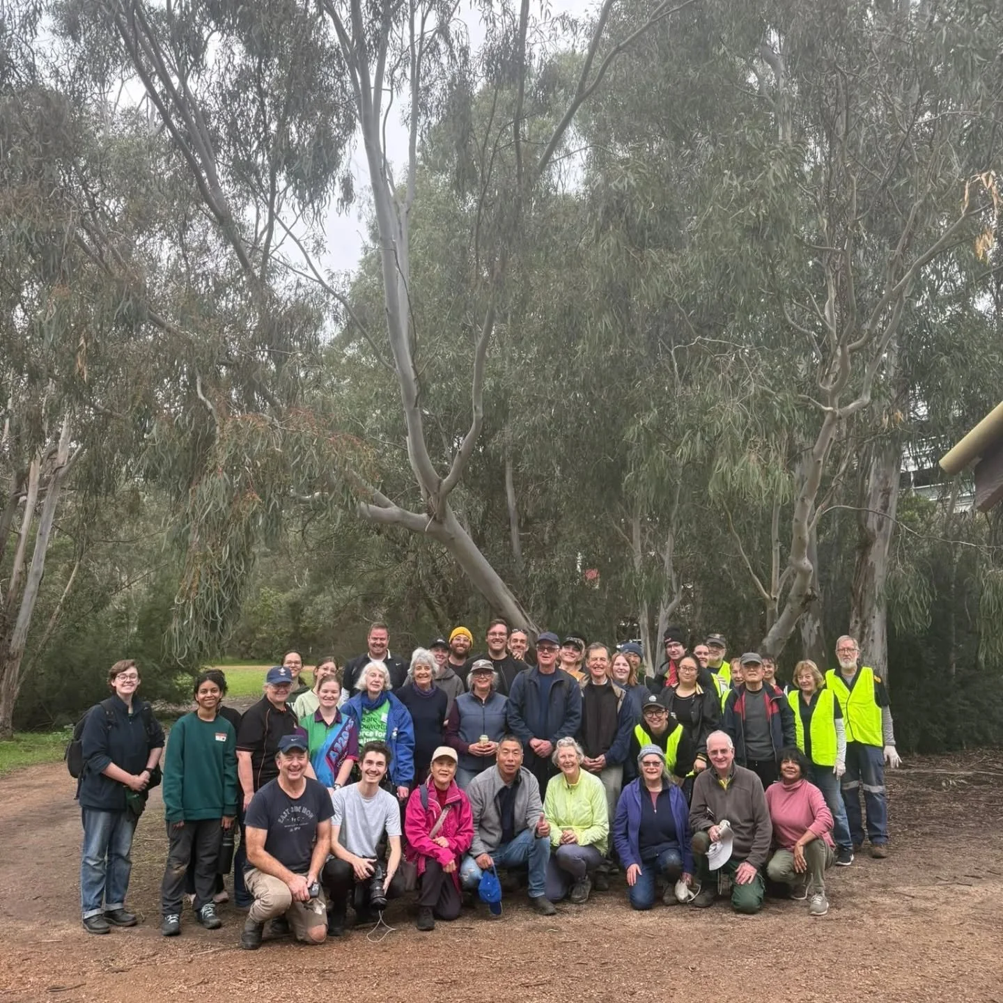 2nd PLANTING - SMASHED IT🌱🤌🏻😍

Sunday we collaborated with our good friends @kooyongkoot_alliance to put in 600 indigenous grasses, wildflowers and ground covers in our Gardiners Creek Reserve site (slide 3: starting one of our wildflower meadows