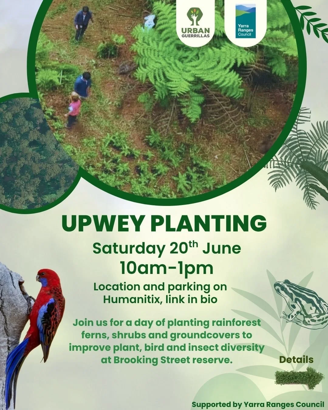 🌳🌴 UPWEY SITE PLANTING! 🌴🌳

We&rsquo;re so excited to say we&rsquo;re ready to start regenerating the Upwey site with more ferns, trees, shrubs and ground covers in June! @yrcouncil will be supplying us with plants to improve insect, bird and mam