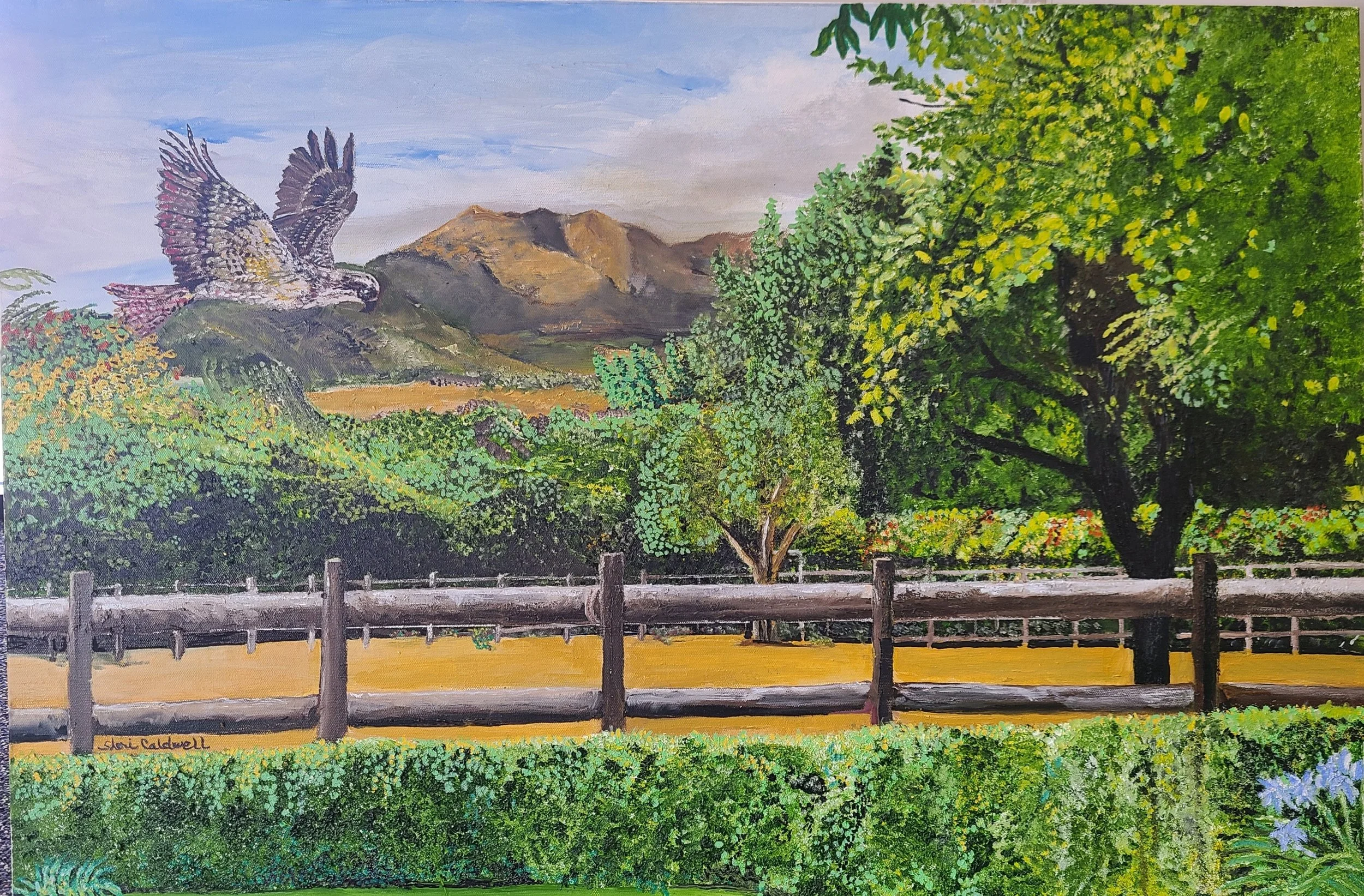 The Hawk (24x36)