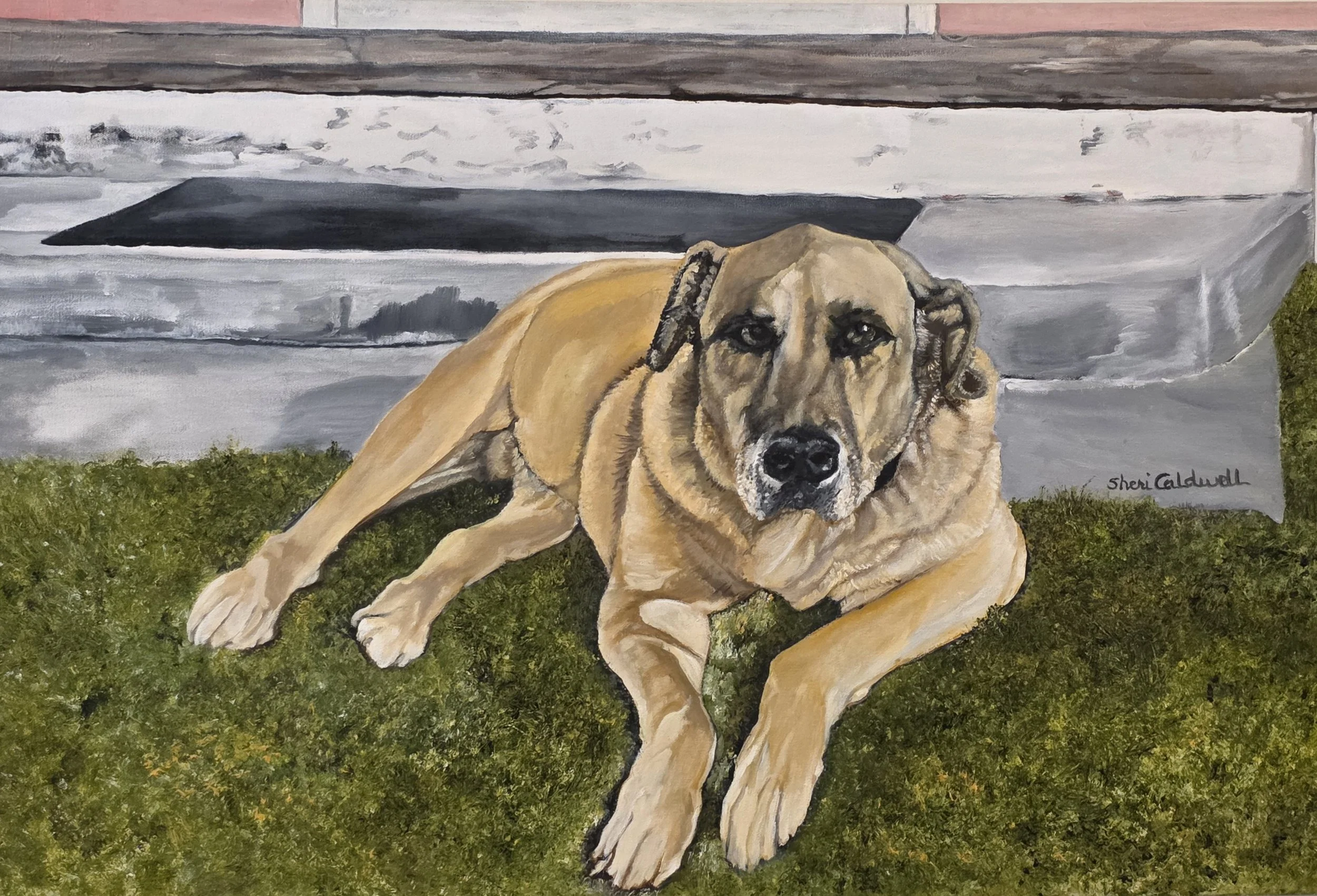 Chance (24x36)