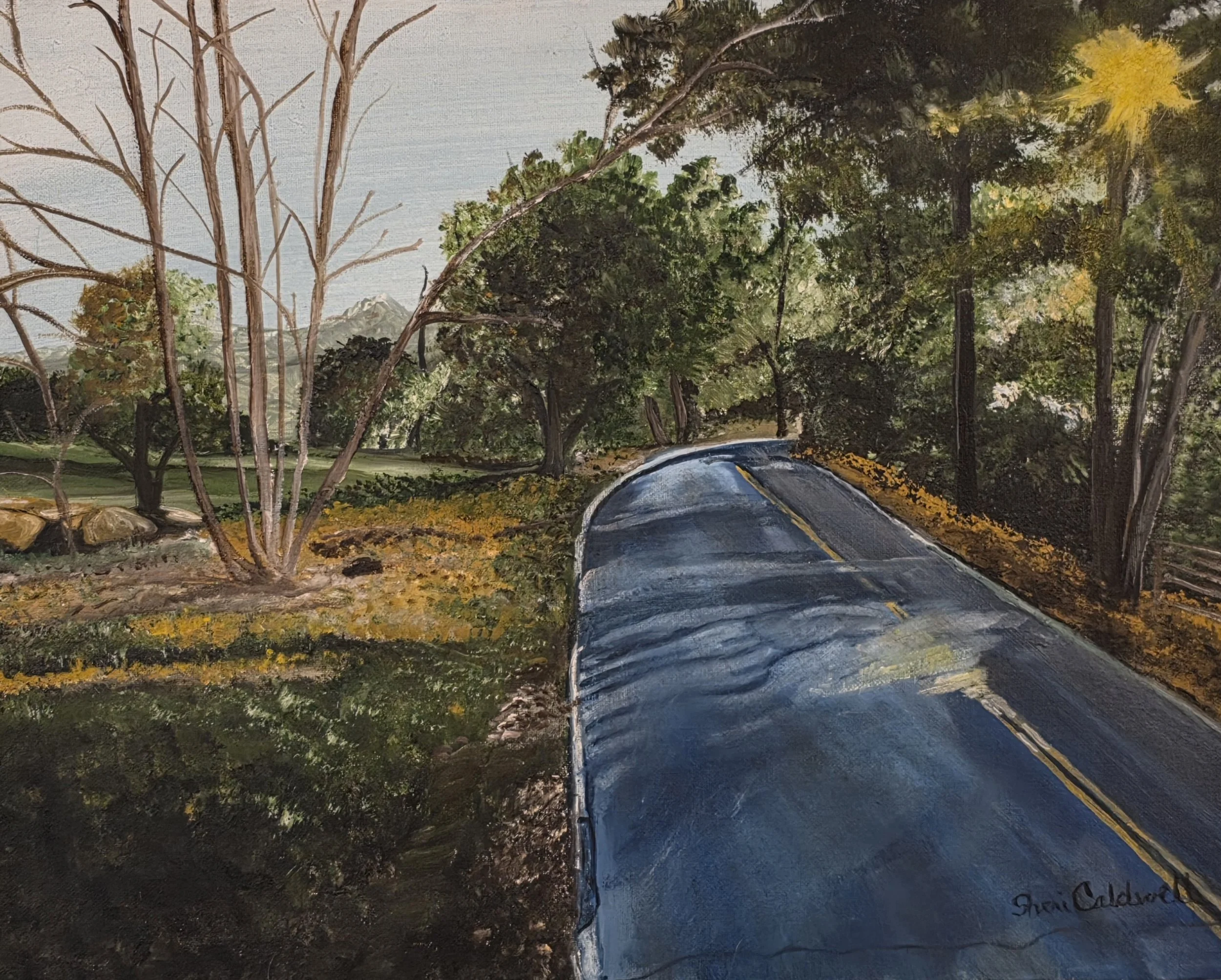 A Road in Ohai 
      (16x20)