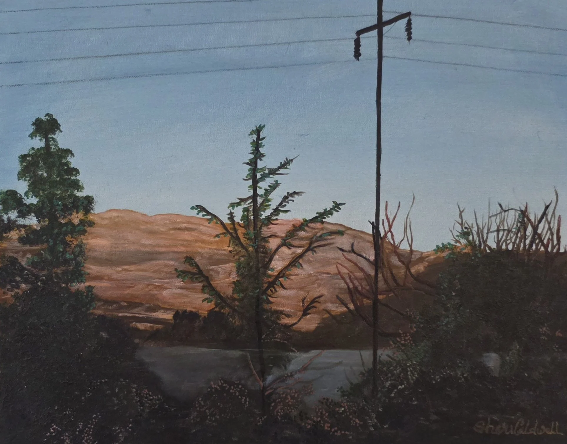 The Pink Moment (16x20)