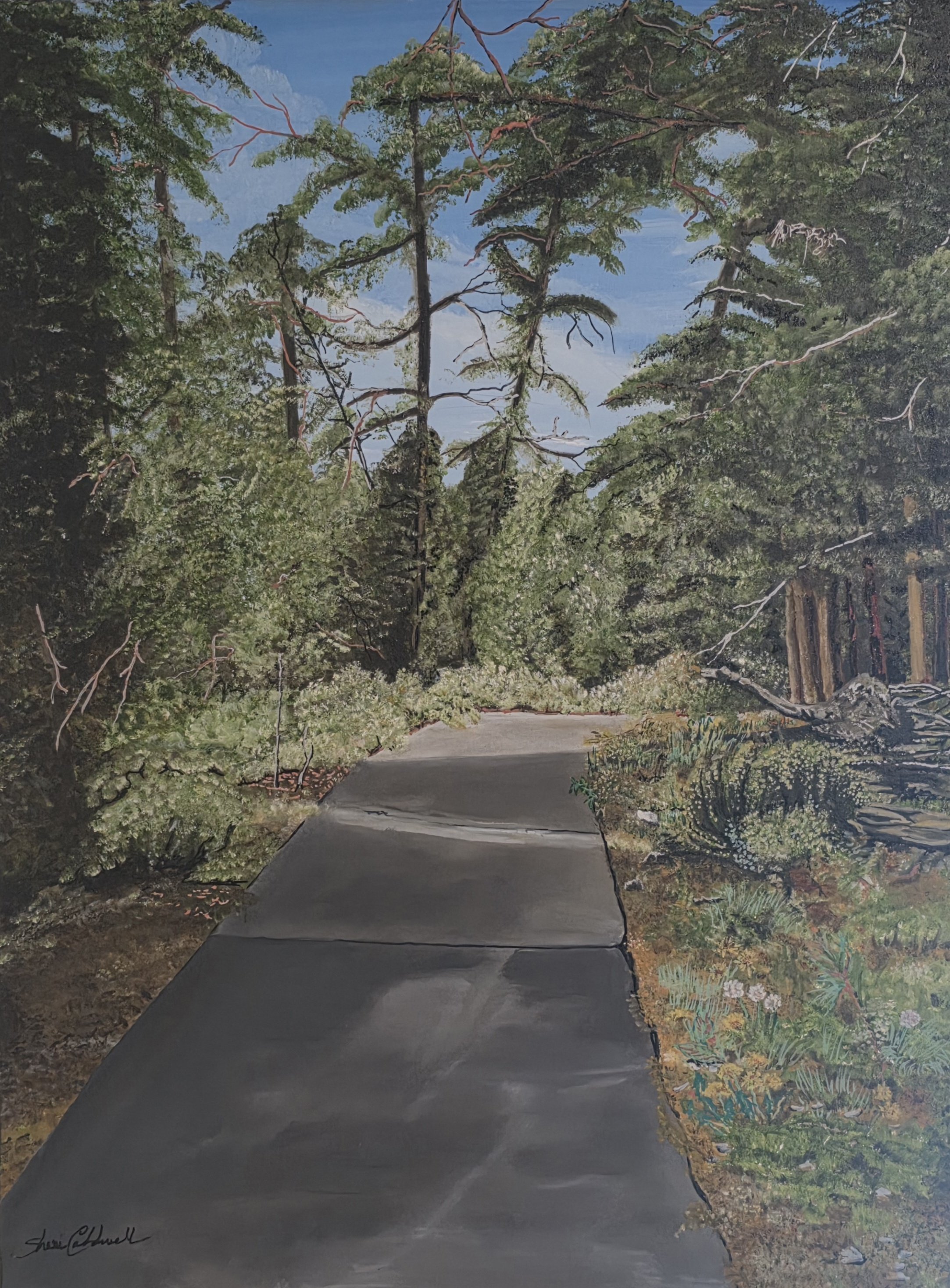 Colby Trail (30x40)
