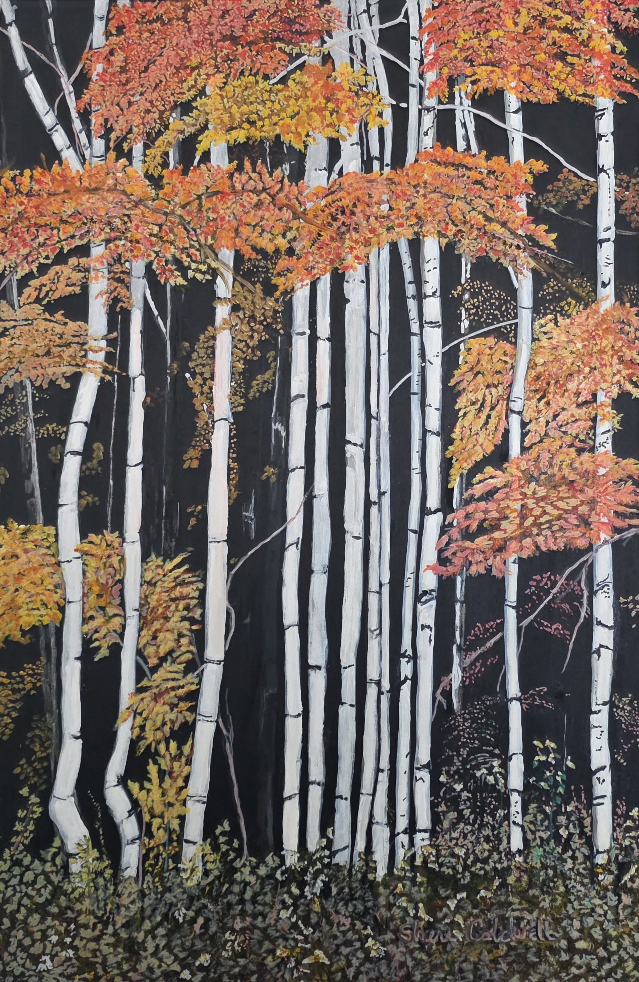 The Birch Trees(36x24)