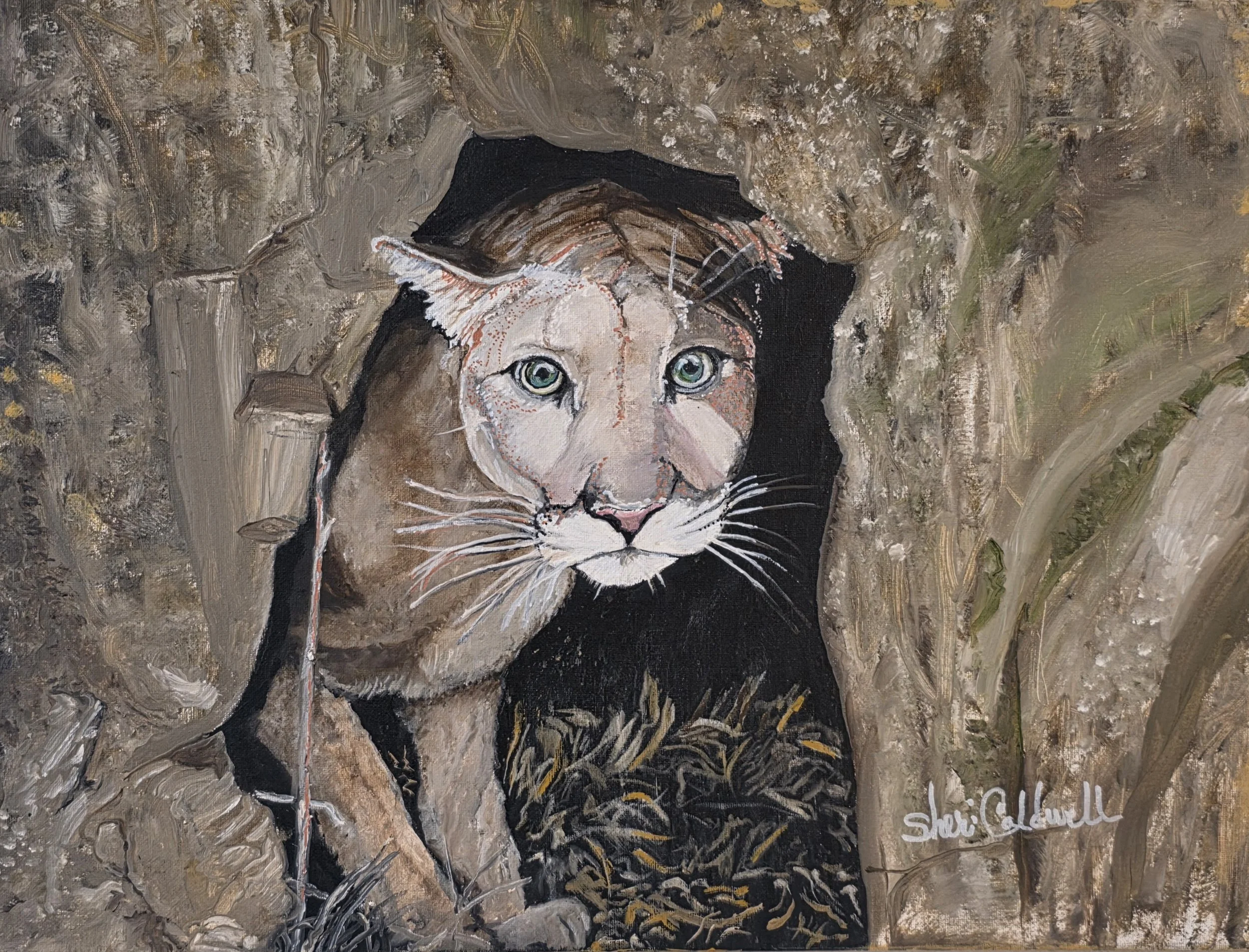 Peek A Boo (16x20) Picture by BCR