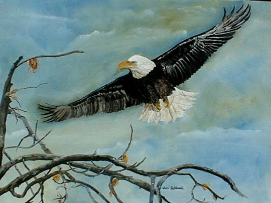 In Flight(16x20)