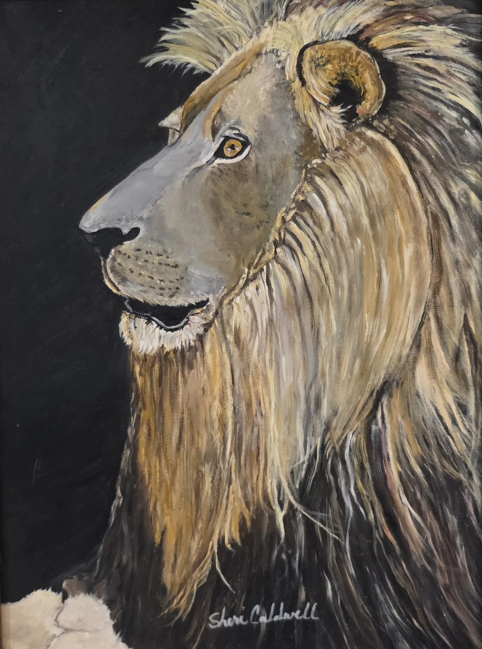A Lion (16x20)