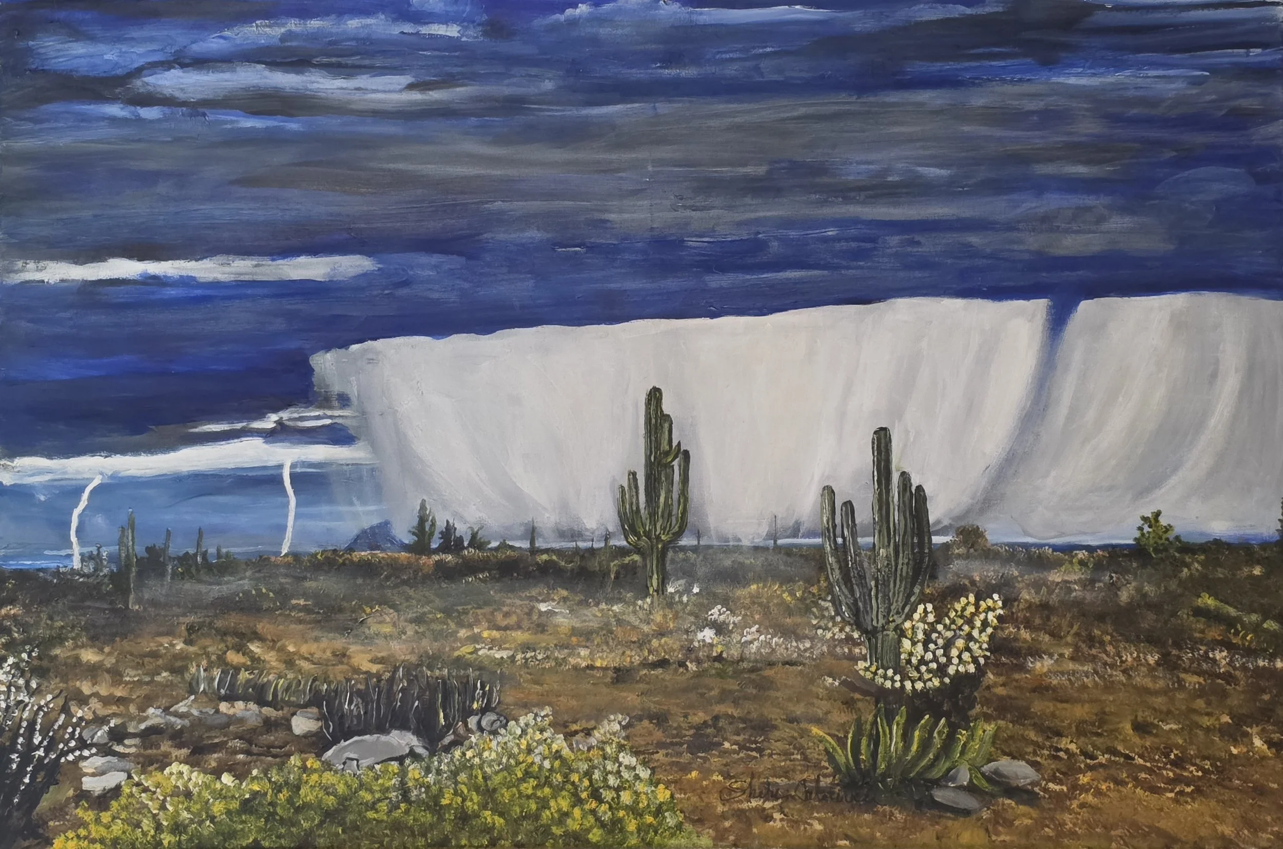 Into the Monsoon (24x36) Photograph by Ed Mitchell