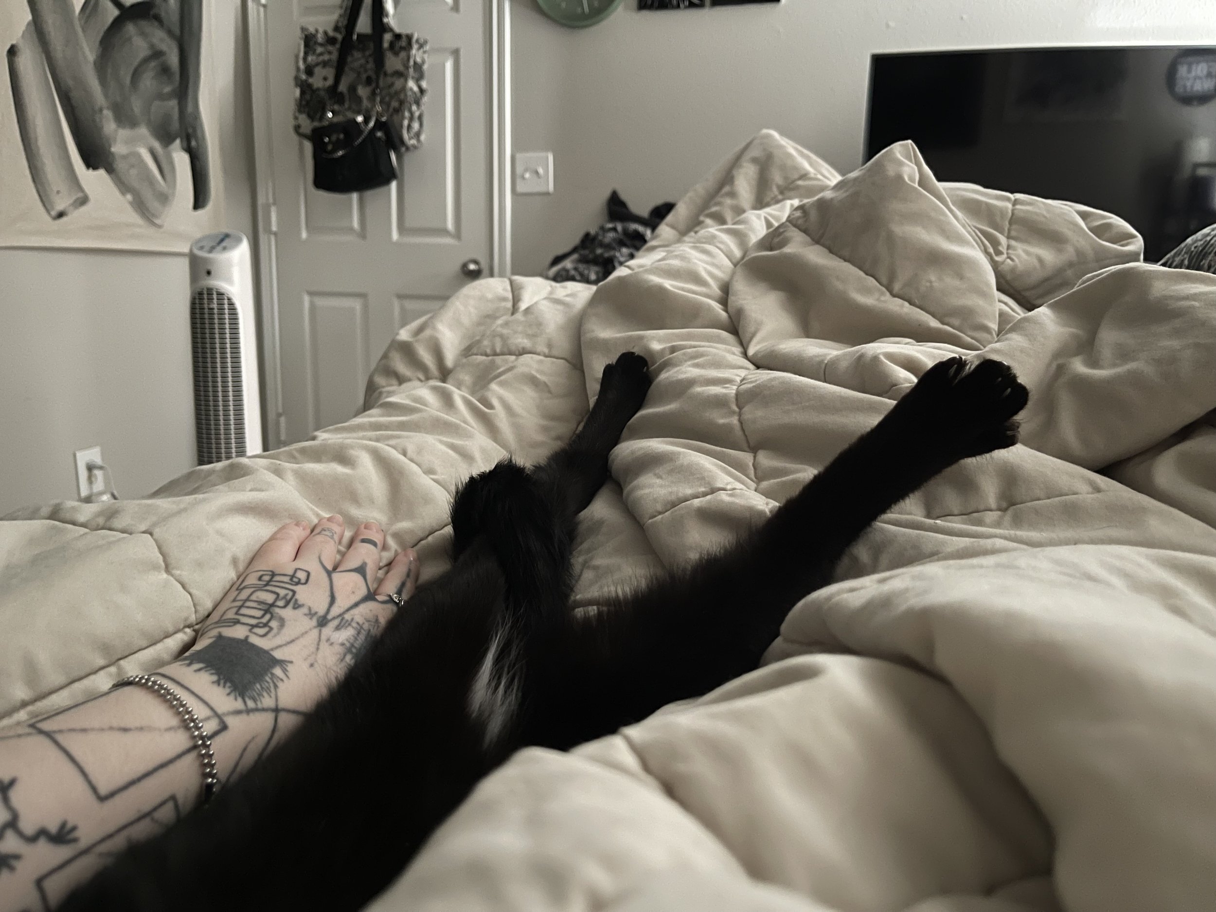 IMG_7194.jpeg