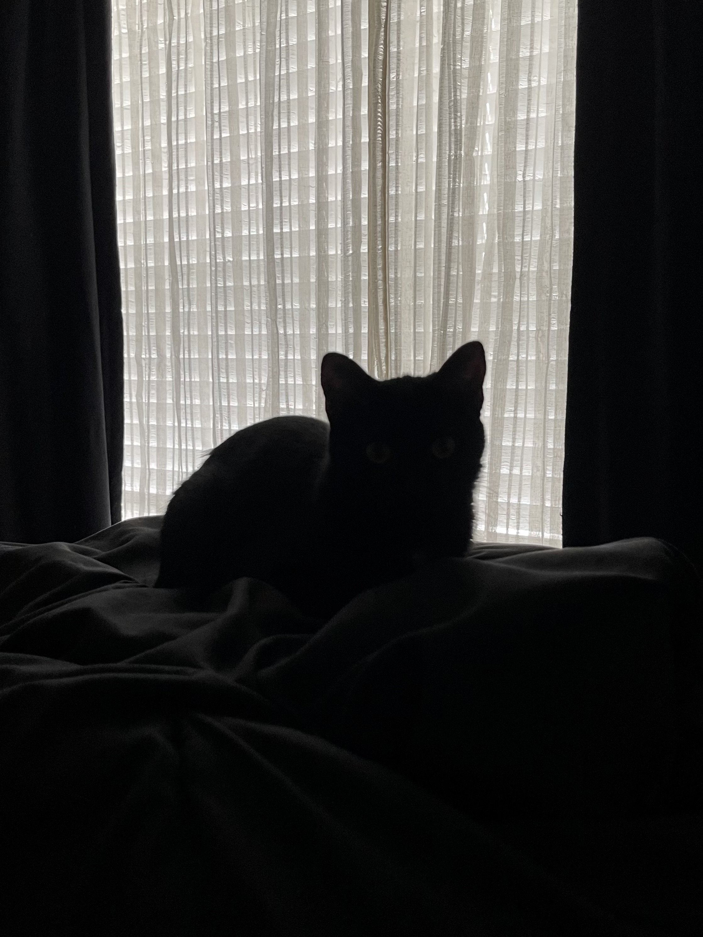 IMG_6680.jpeg