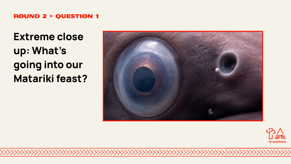 Matariki Quiz Pro by Te Arawhata (4).png