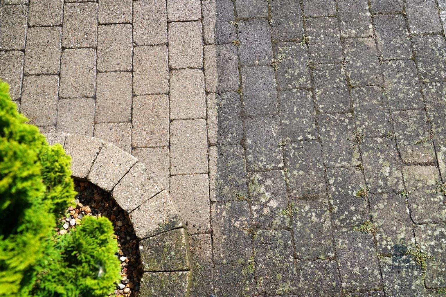 Gedeelte van een oprit met grind en stenen pavé, om en om een groen struikje.