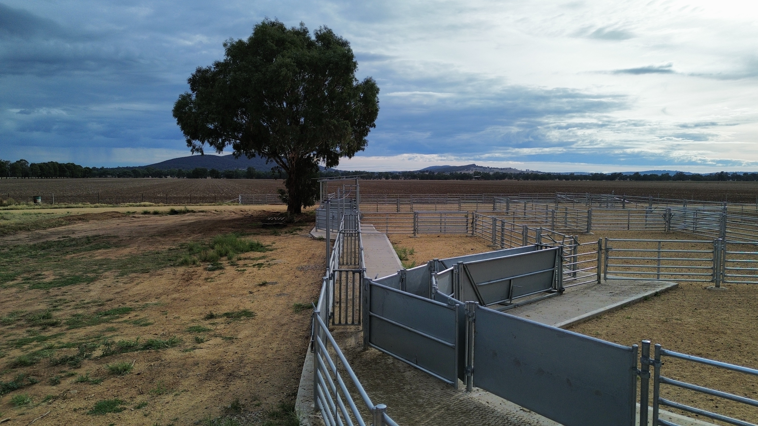 Fenced cattle yards, sheep yard, sheep fencing, stock fencing