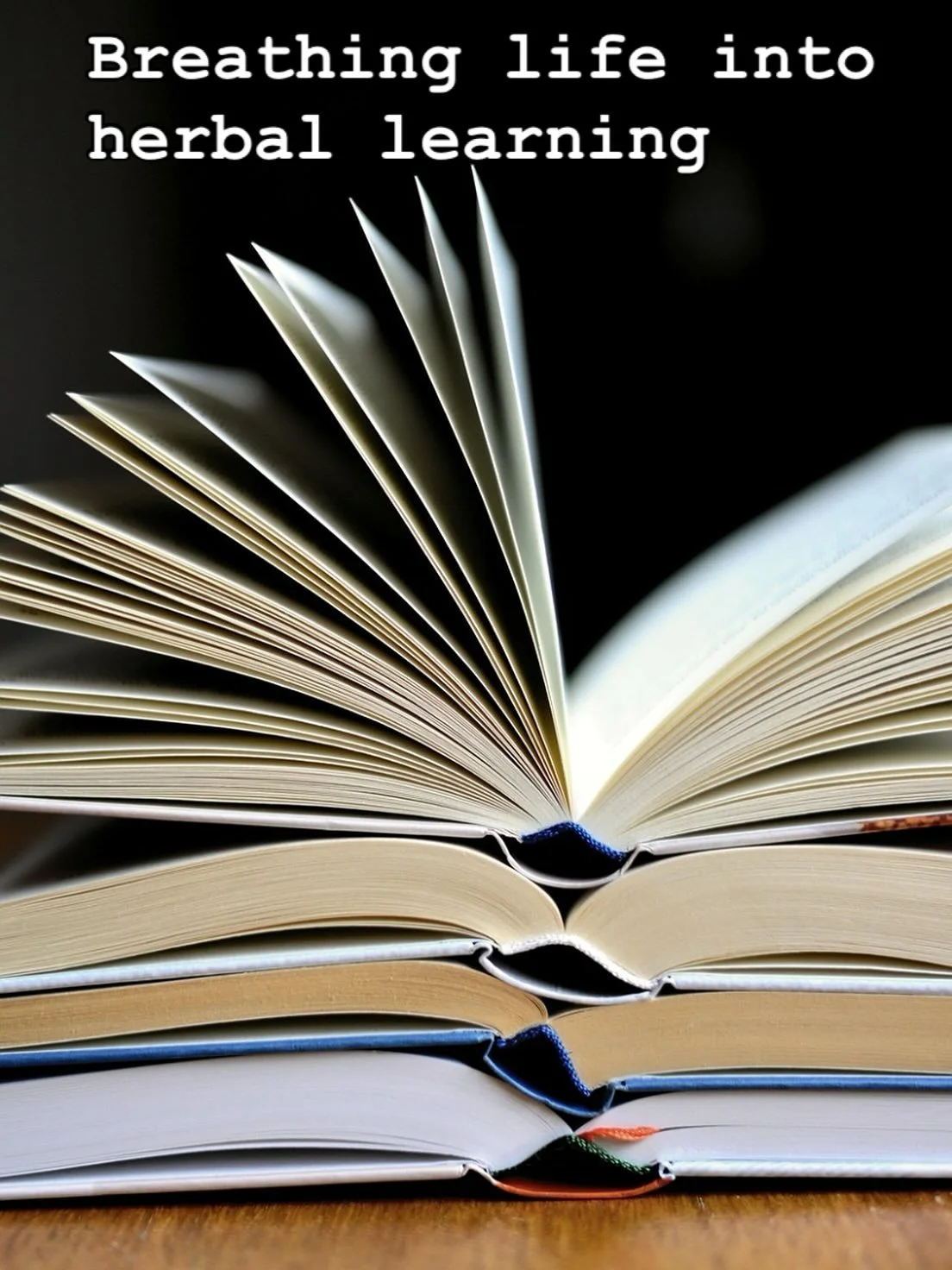 I had the pleasure of teaching students in year one at Betonica School of Herbal Medicine last weekend. 

Working alongside fellow herbalist Flora Scott we focused on the respiratory system and herbal medicine support. We were met with curiosity, ent