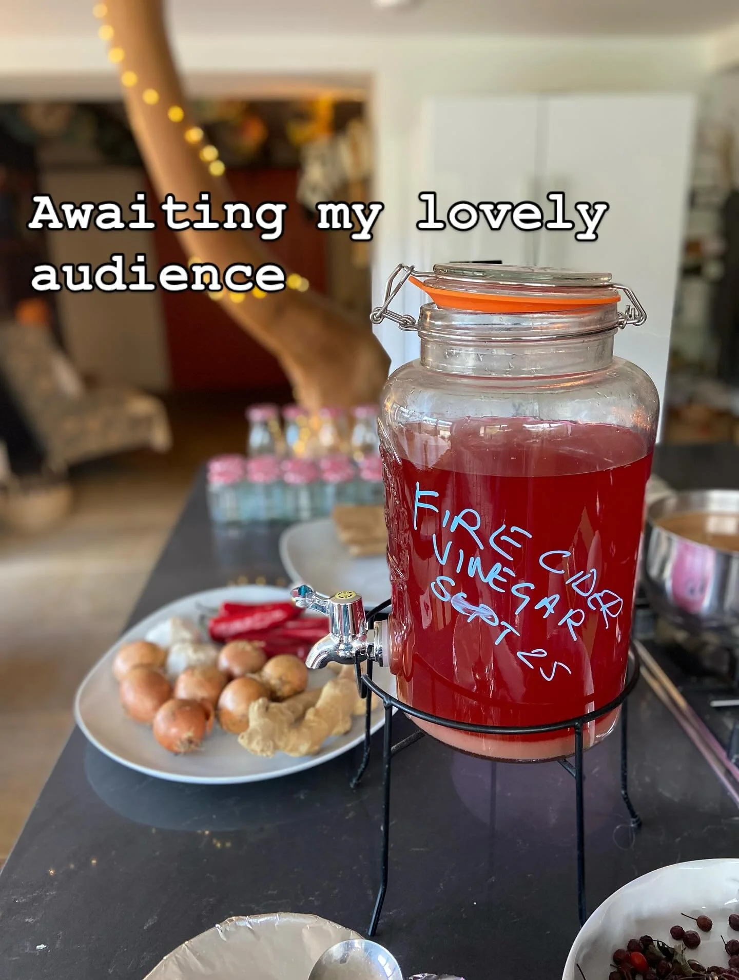 What a gorgeous morning of all things immune supporting. 

First workshop at home. Felt super special to be sharing herbs with such lovely people. 

We talked herbal health and made winter remedies for nearly three hours.  It was delightful thank you