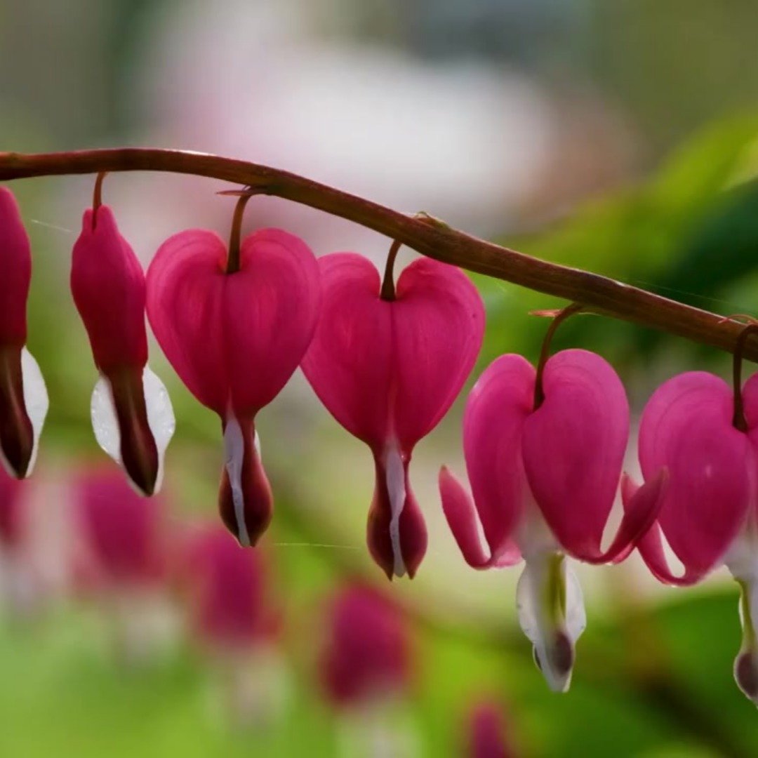 Why Routine Blood Pressure Checks Are Essential

Regular blood pressure checks are one of the simplest and most effective ways to stay on top of your health. High blood pressure often develops quietly, without obvious symptoms. Yet it remains a major