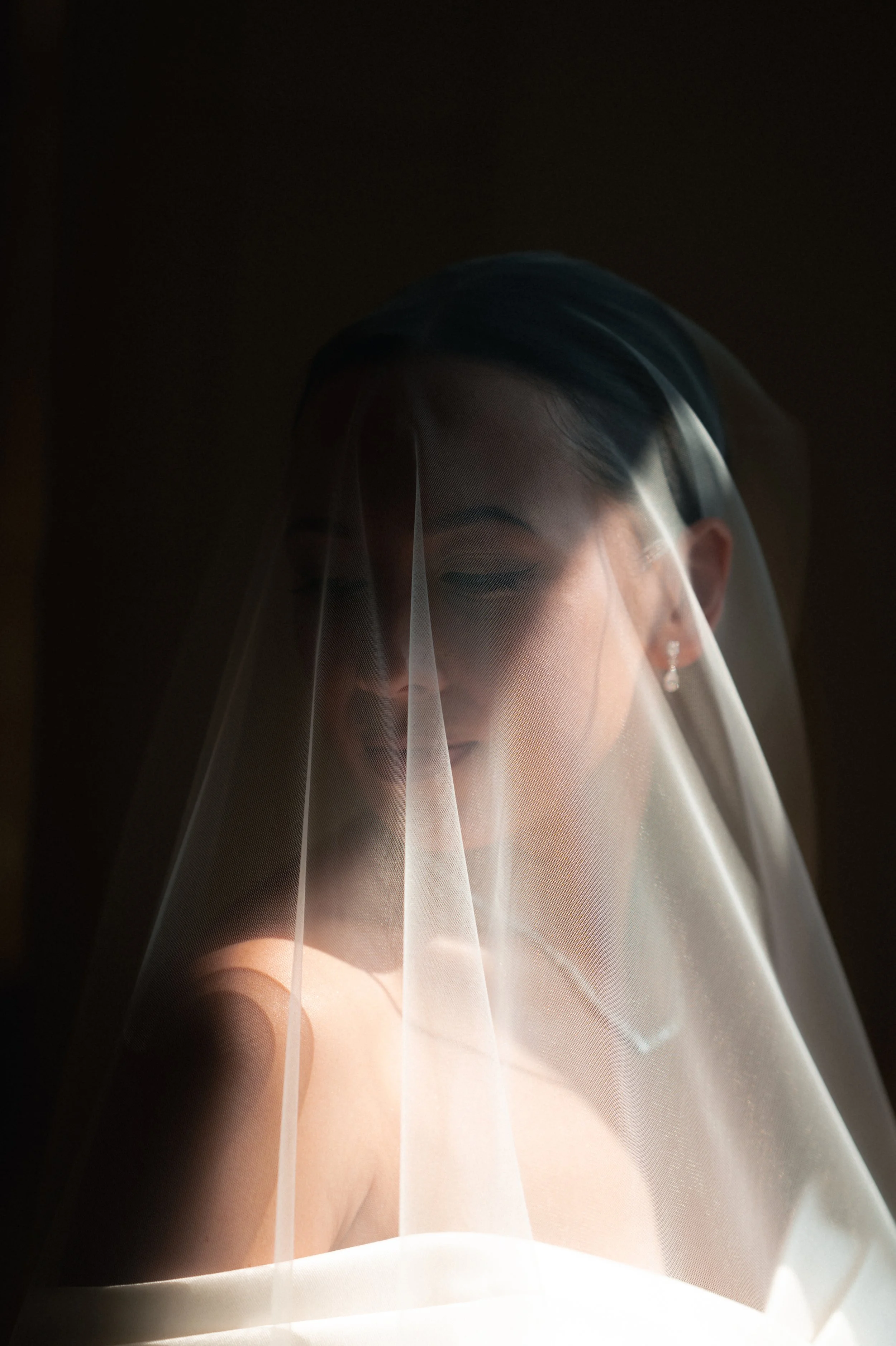 Editorial bridal portrait featuring a bride softly illuminated behind a delicate wedding veil.