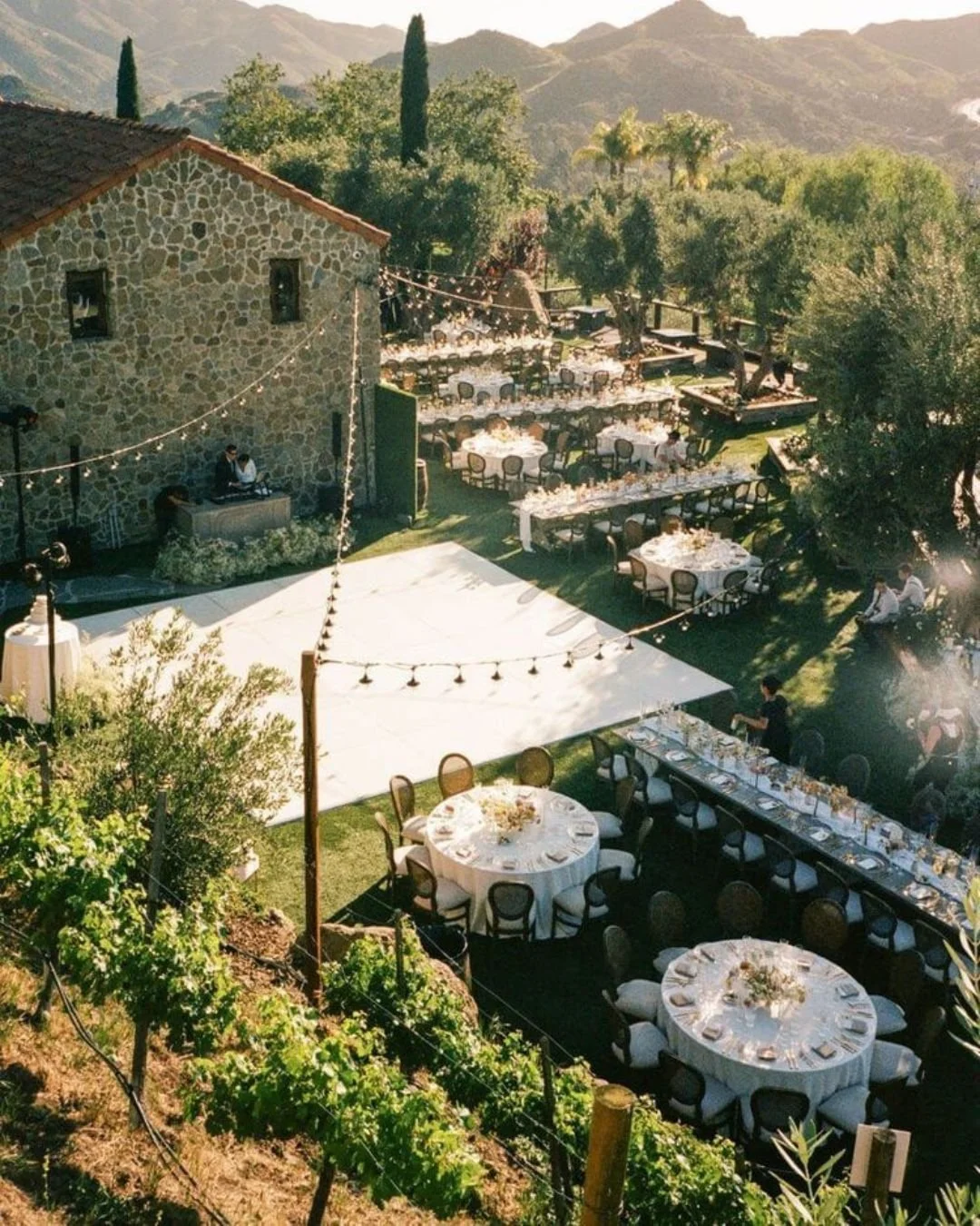 tuscan-vineyard-wedding-reception.jpg