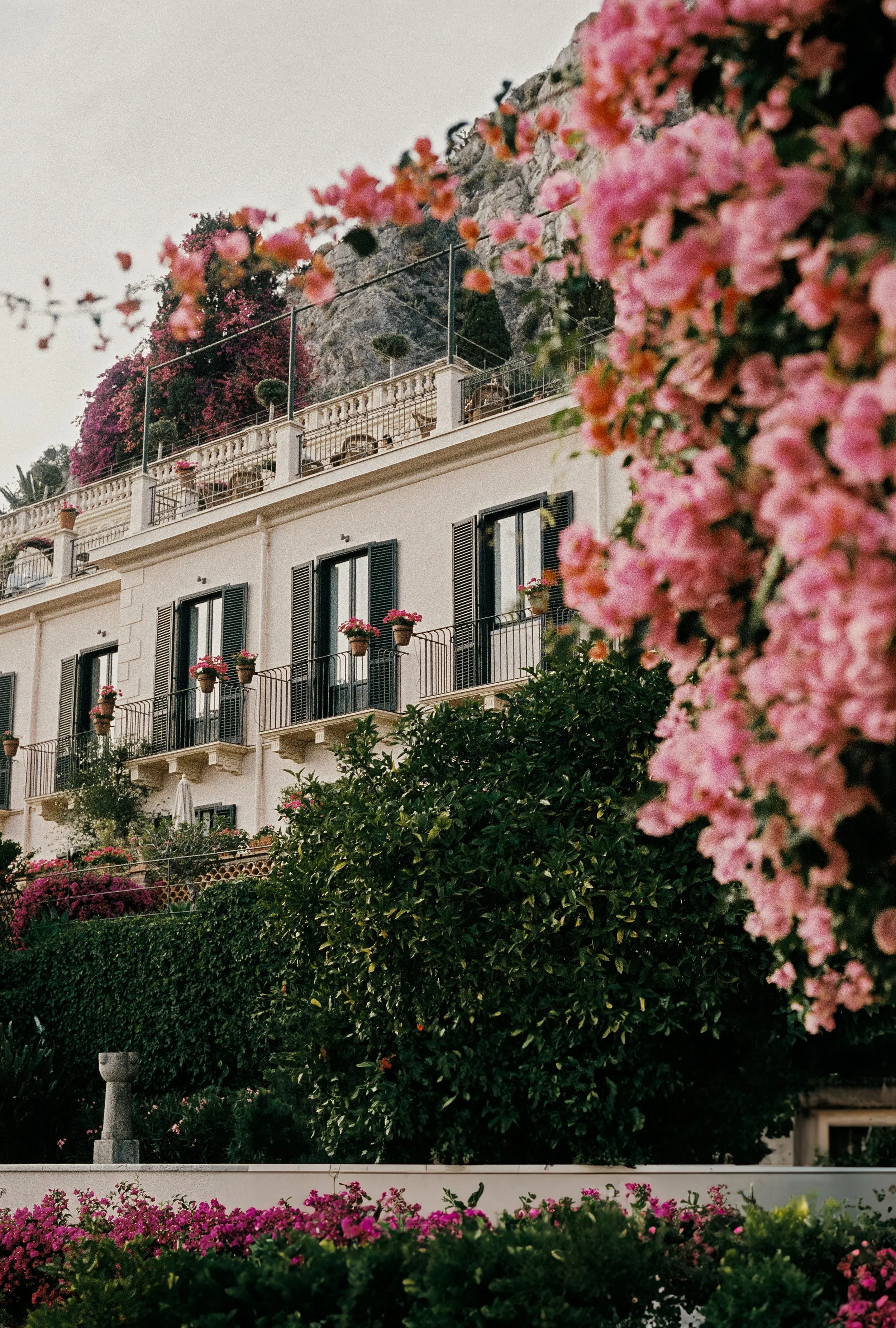 Elegant Italian wedding venue framed by vibrant pink bougainvillea, photographed on film by Lauren Young.