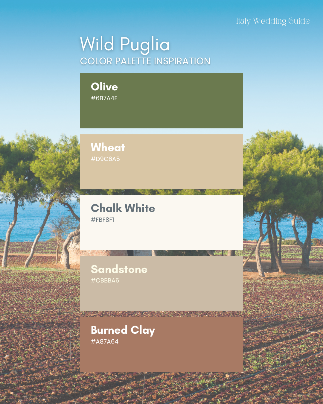 Wild Puglia wedding colour palette inspired by southern Italy, featuring olive green, wheat, chalk white, sandstone and burned clay, set against olive trees and coastal countryside