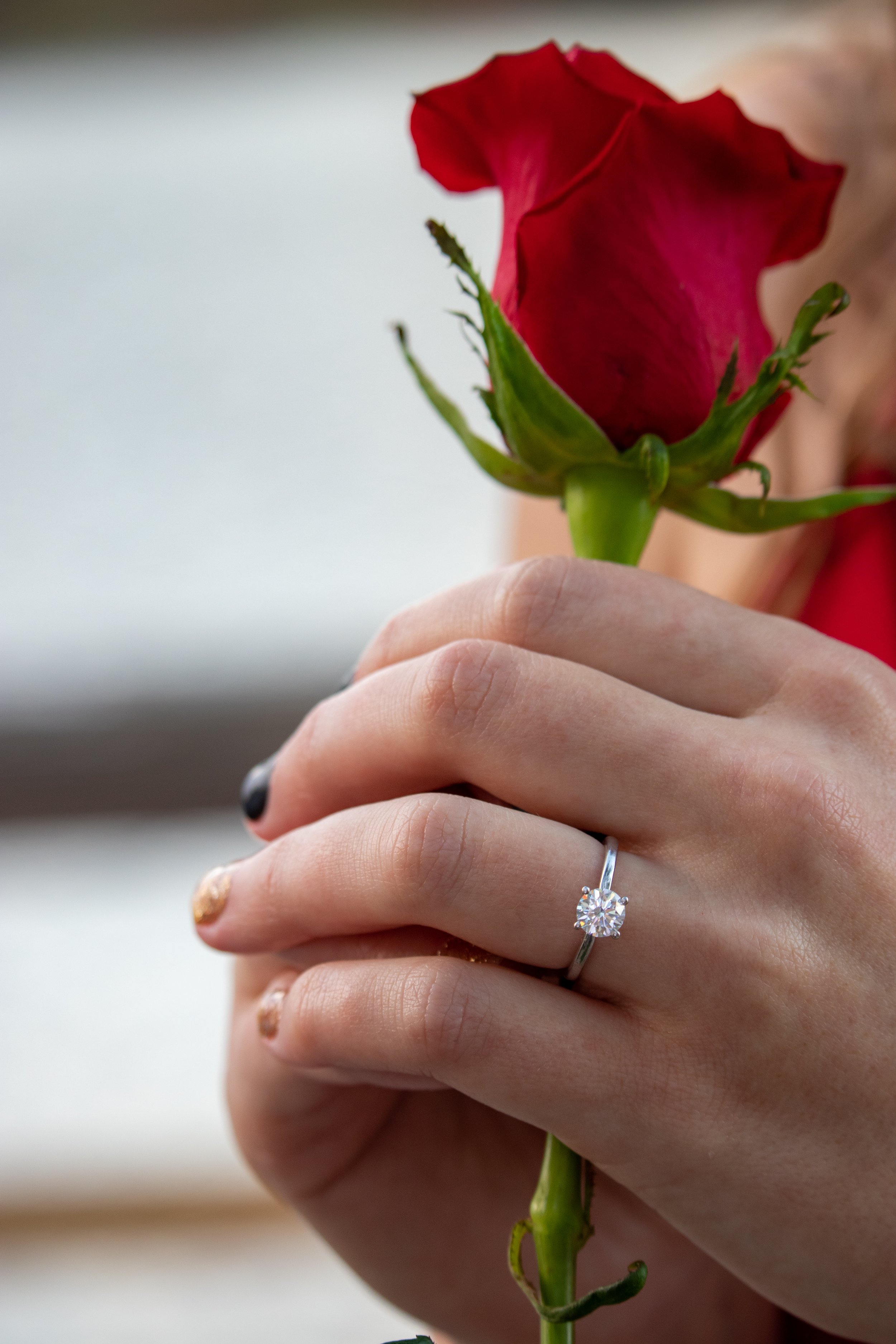 Engagement ring on hand holding a red rose.