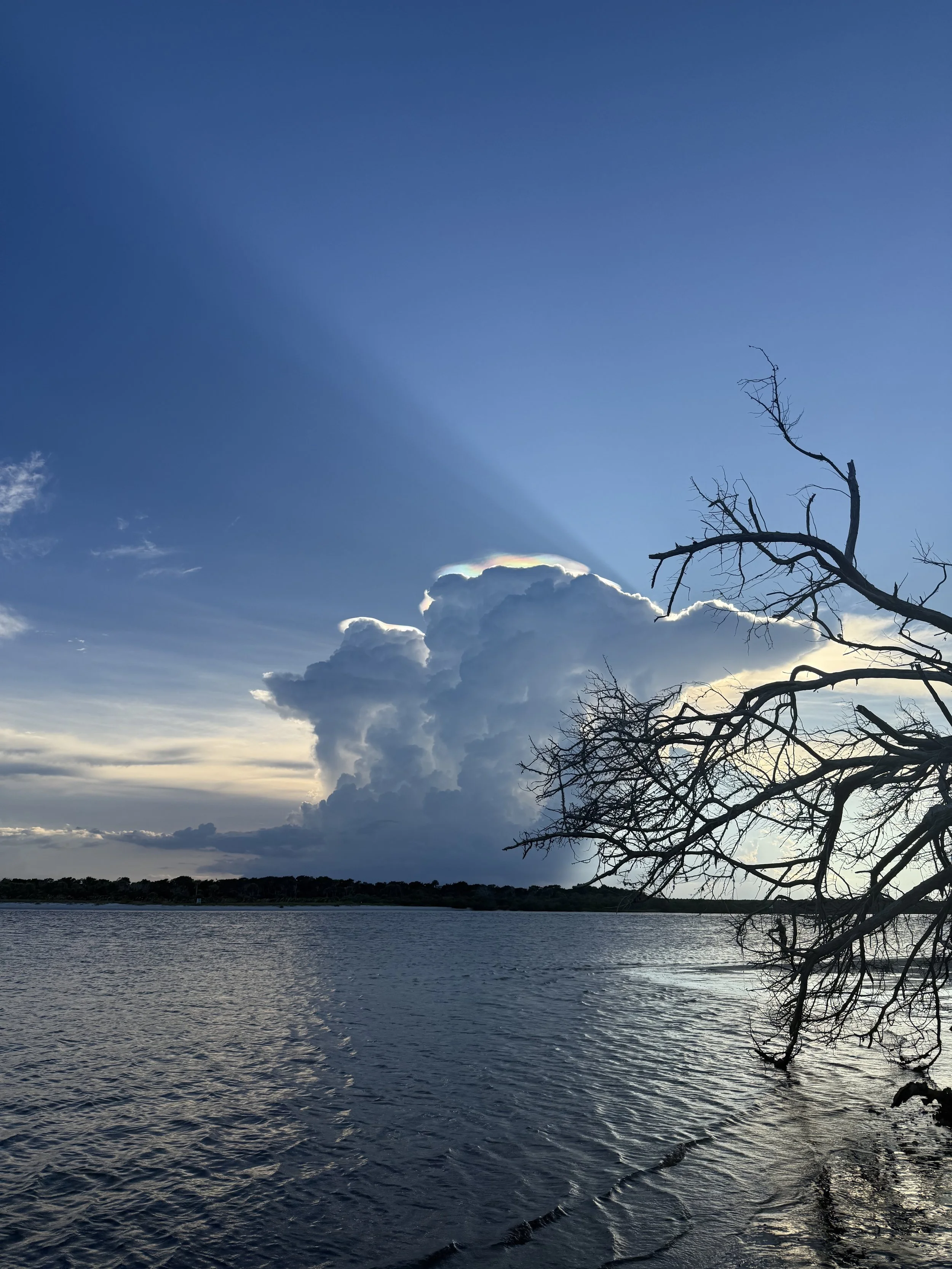 A lake with rippling water, a distant shoreline with trees, a partly cloudy sky with large clouds and blue sky, and a bare tree branch extending into the frame from the right side.