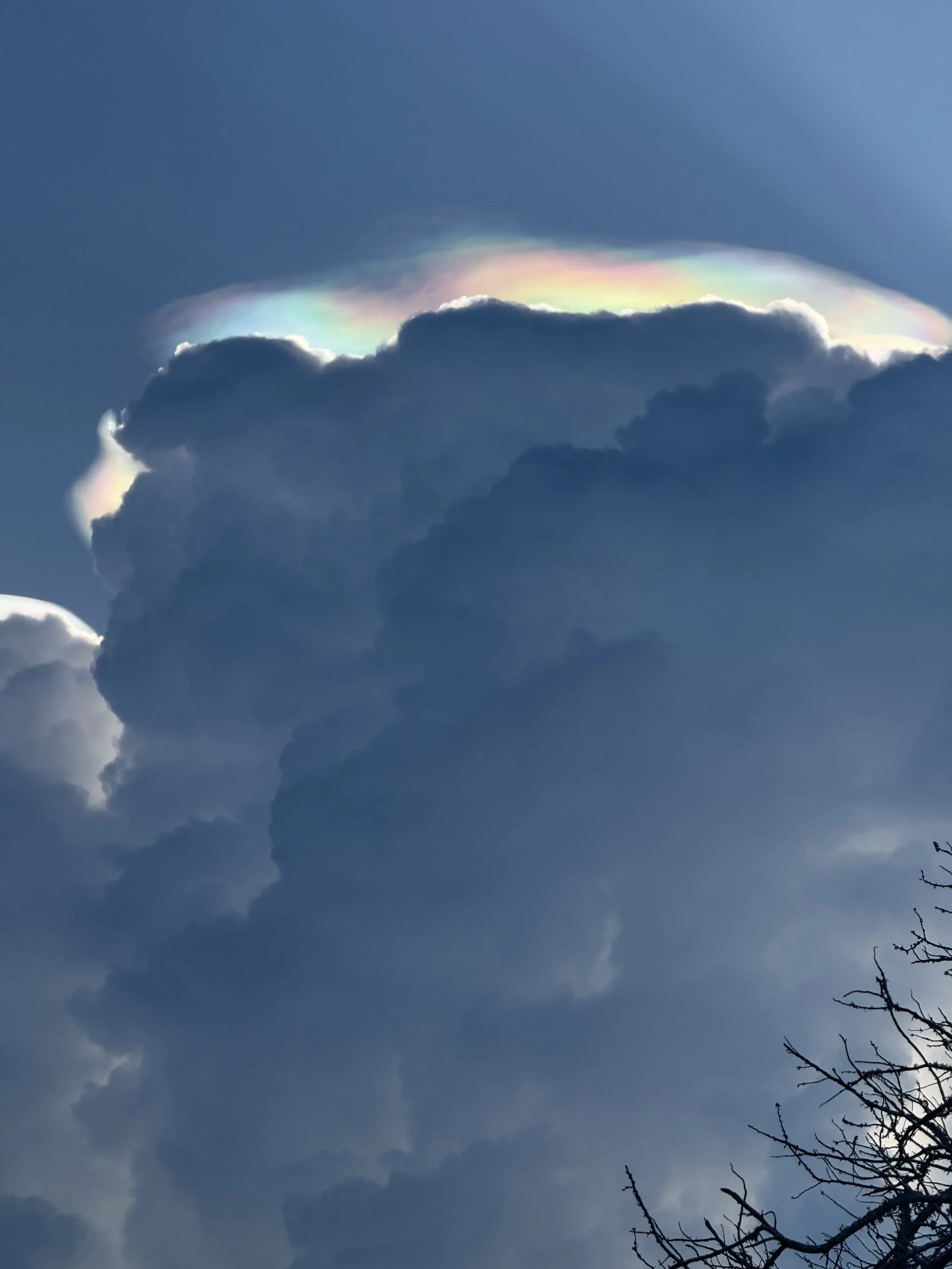 Cloudy sky with a rainbow-like iridescence emerging from behind the clouds and some bare tree branches in the lower right corner.