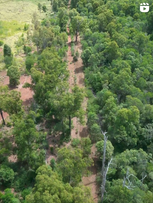 Aerial view of a fire break running through a forest with dense green trees on either side.