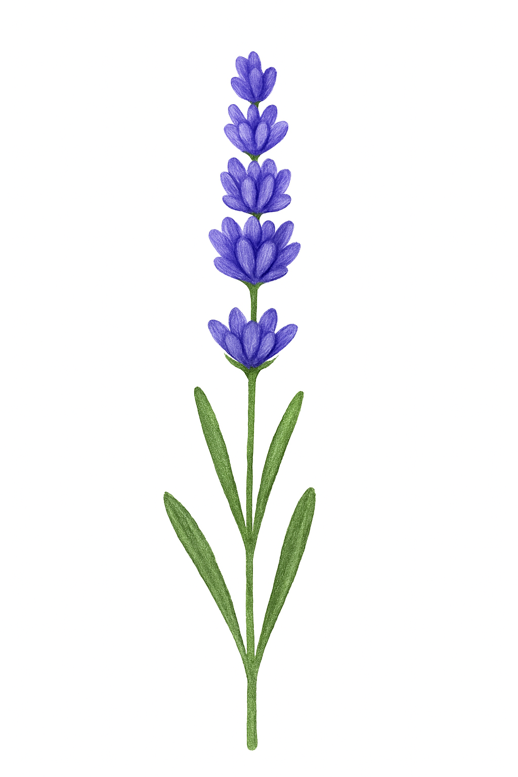 Kay & Kind Complete Home Bundle (EVERYTHING)