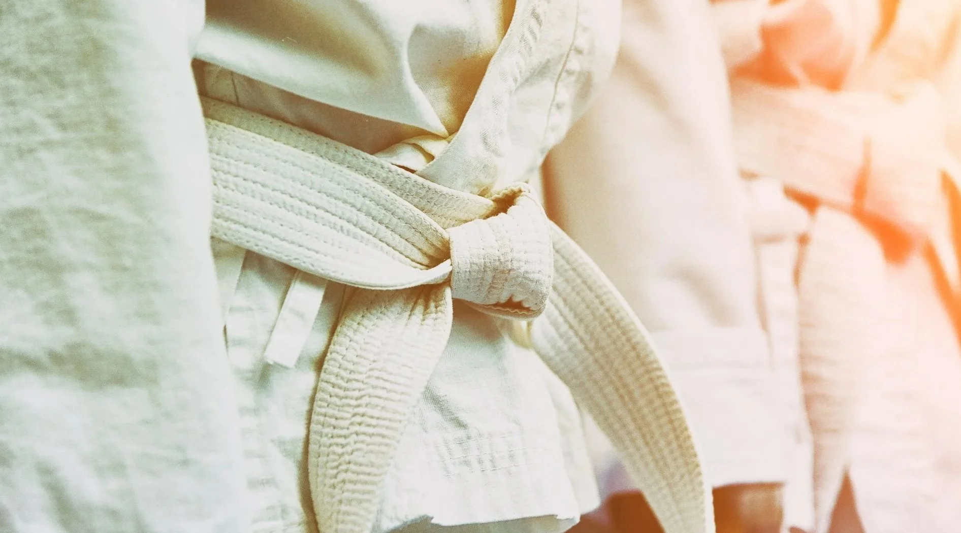 42. Martial Arts