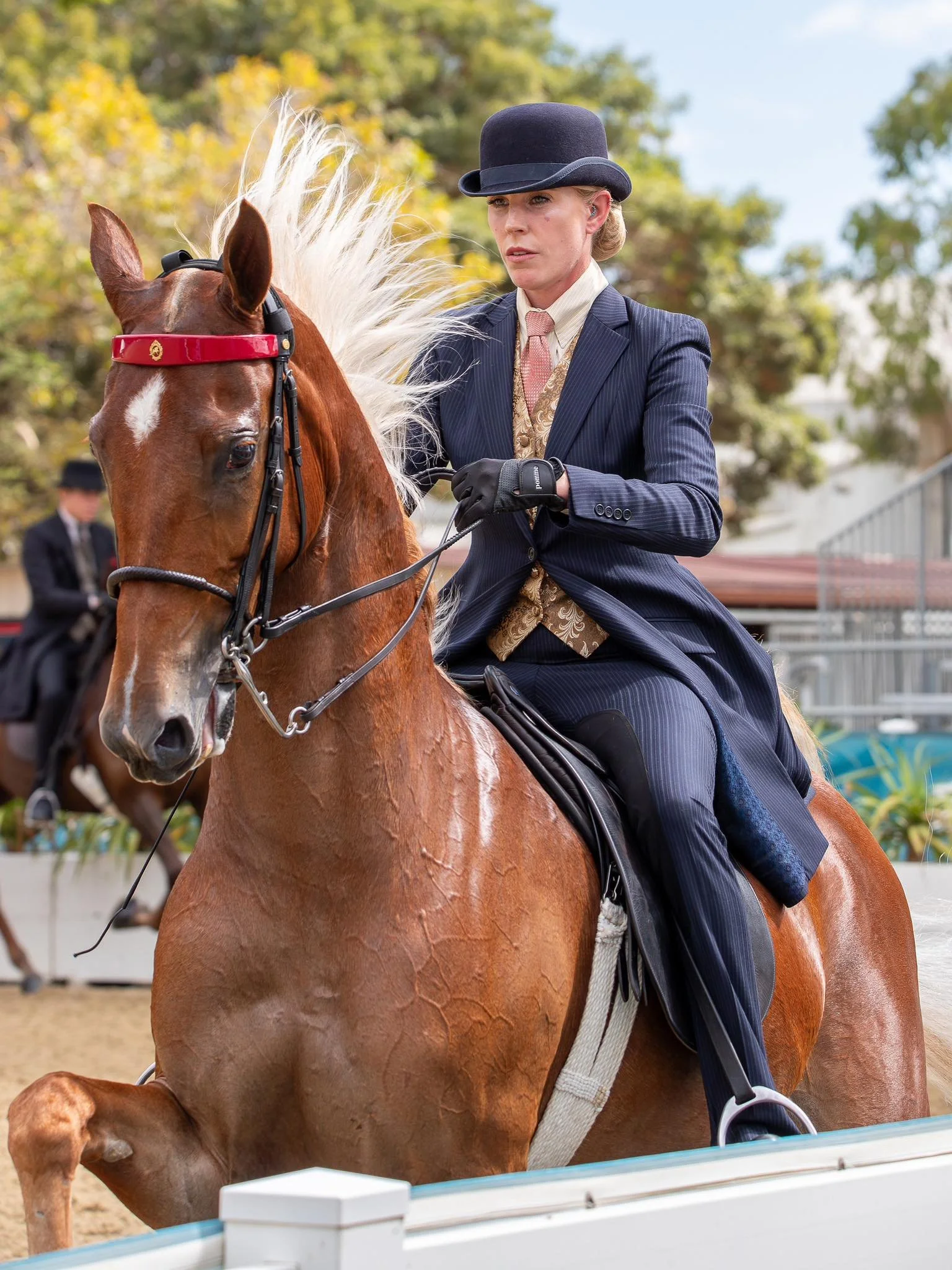 HorseShowsLosAngeles.jpg