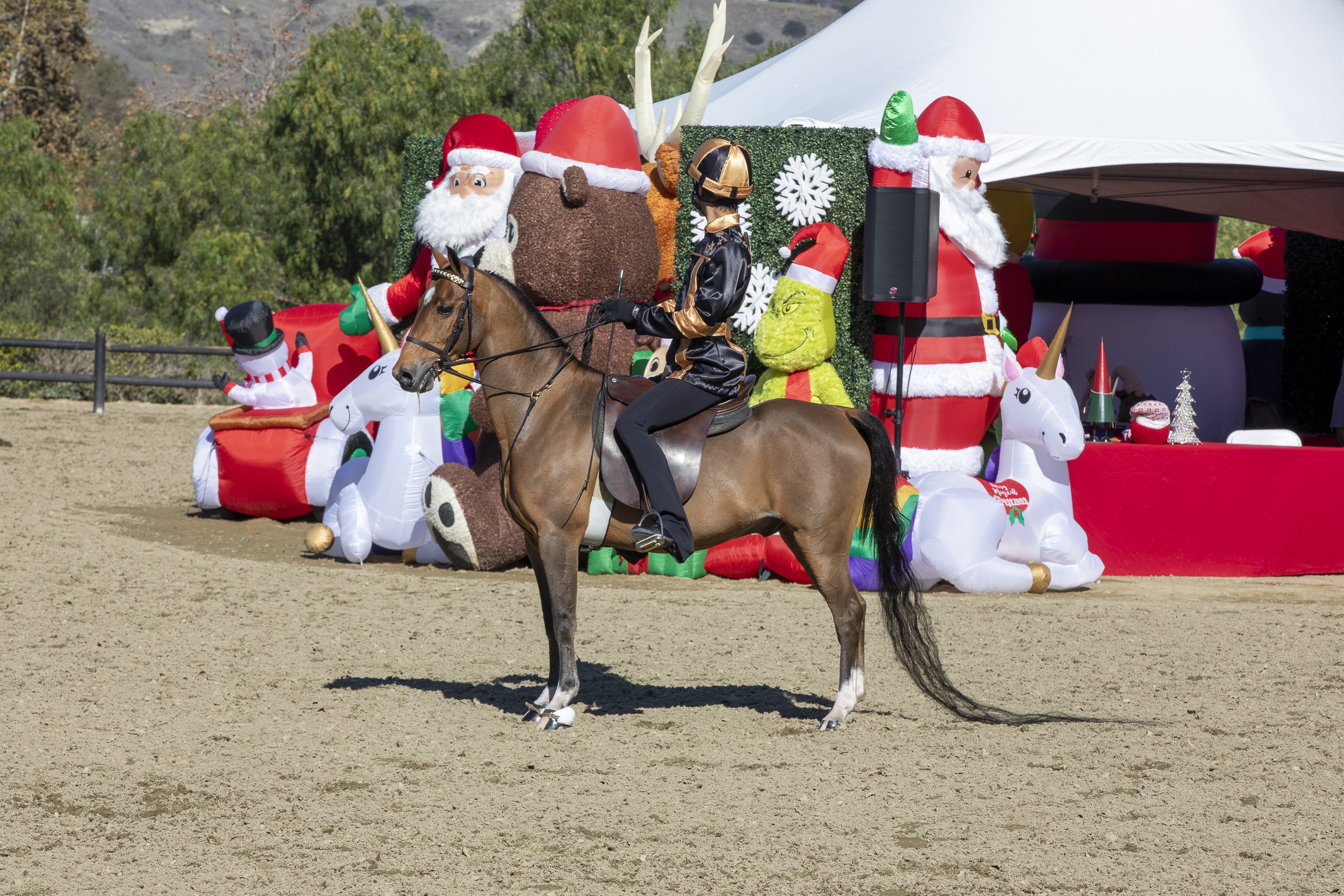 horse shows in Southern California Christmas.jpg