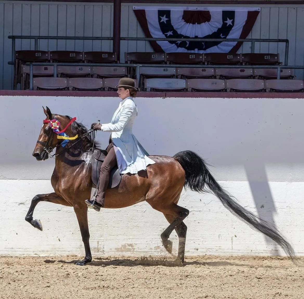 horseback riding lessons in LA 2026.jpeg