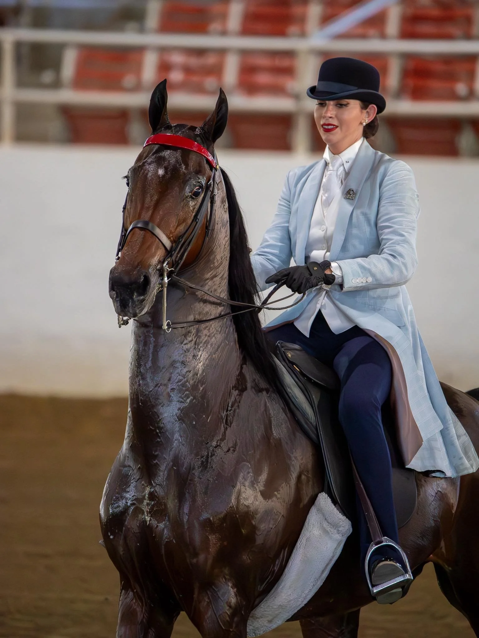 SaddleSeatGoldenGlenStablesHorseRidingLosAngeles.jpg