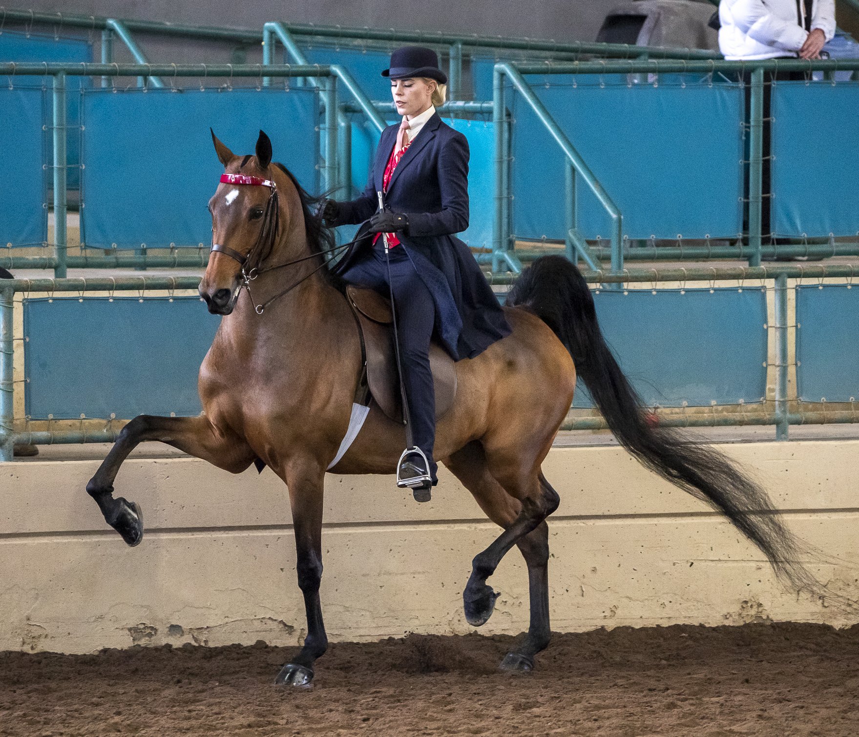 saddle seat in the Los Angeles.jpg