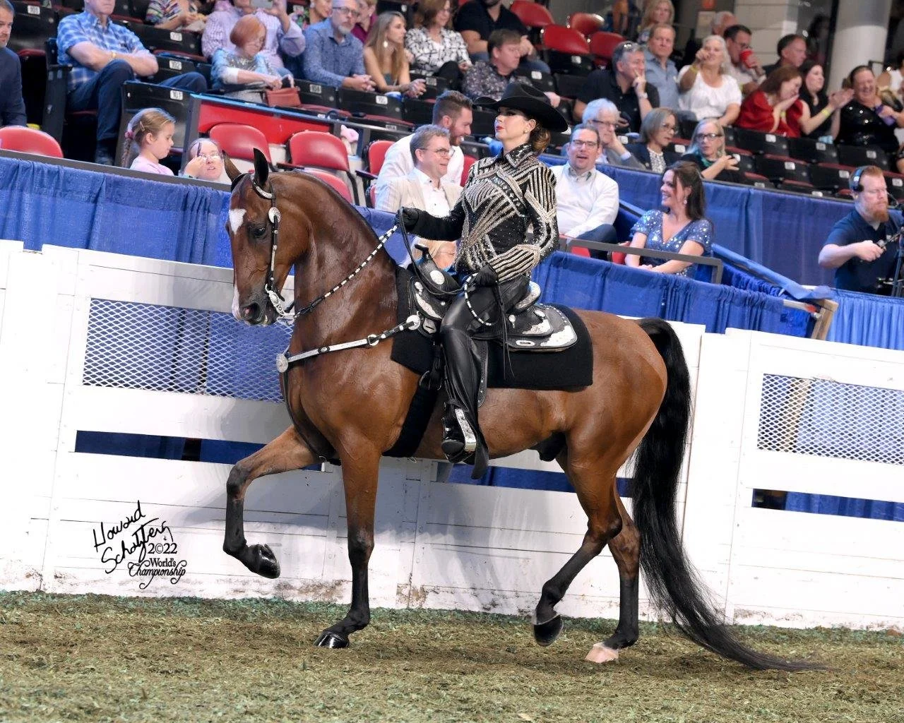 saddle seat western in the Los Angeles.jpg