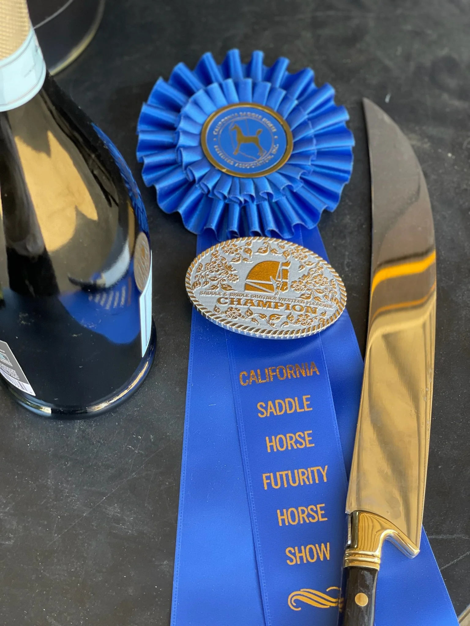 SaddleSeatGoldenGlenStablesHorseRidingLosAngeles.JPG