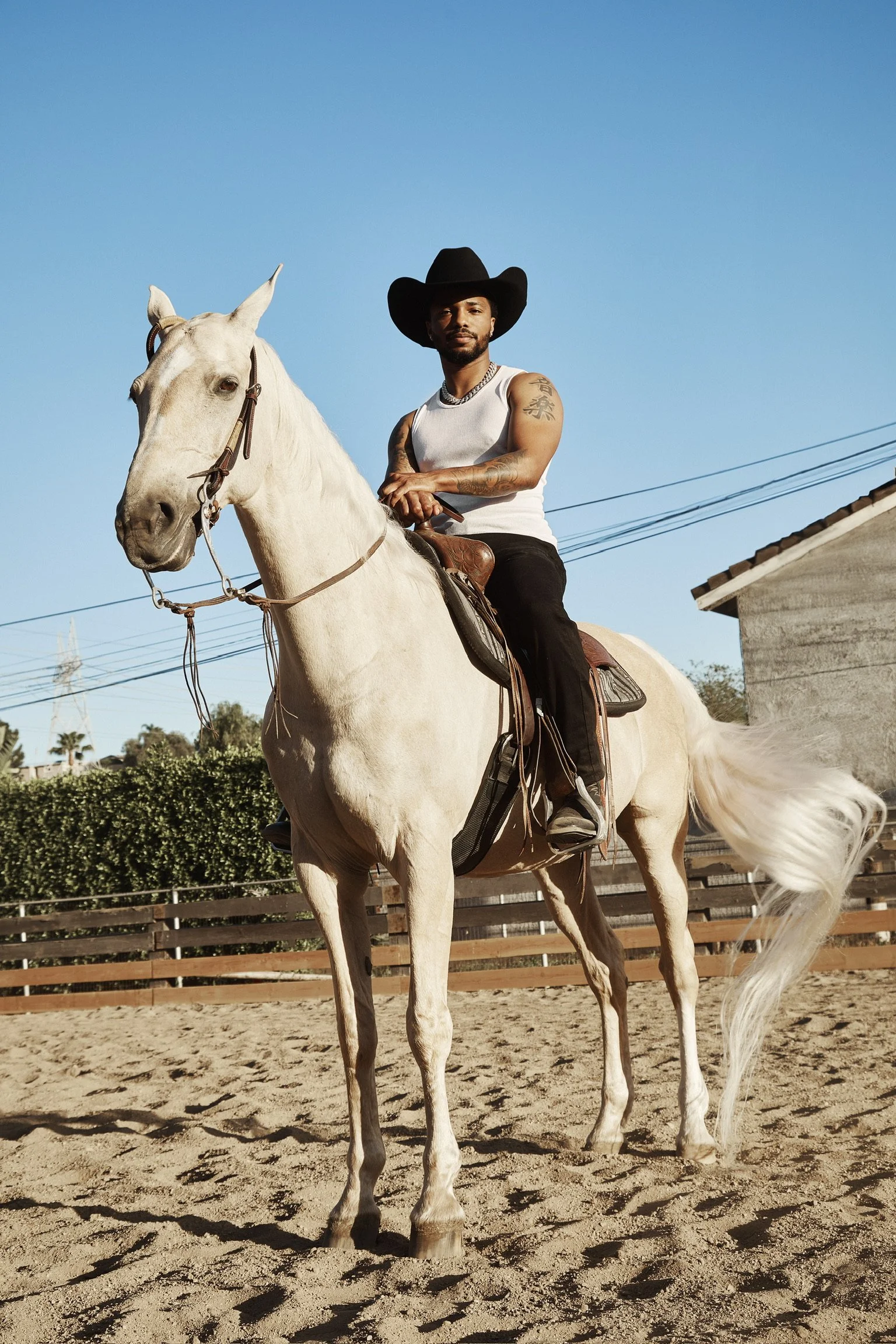 Horse Model Los Angeles.JPG