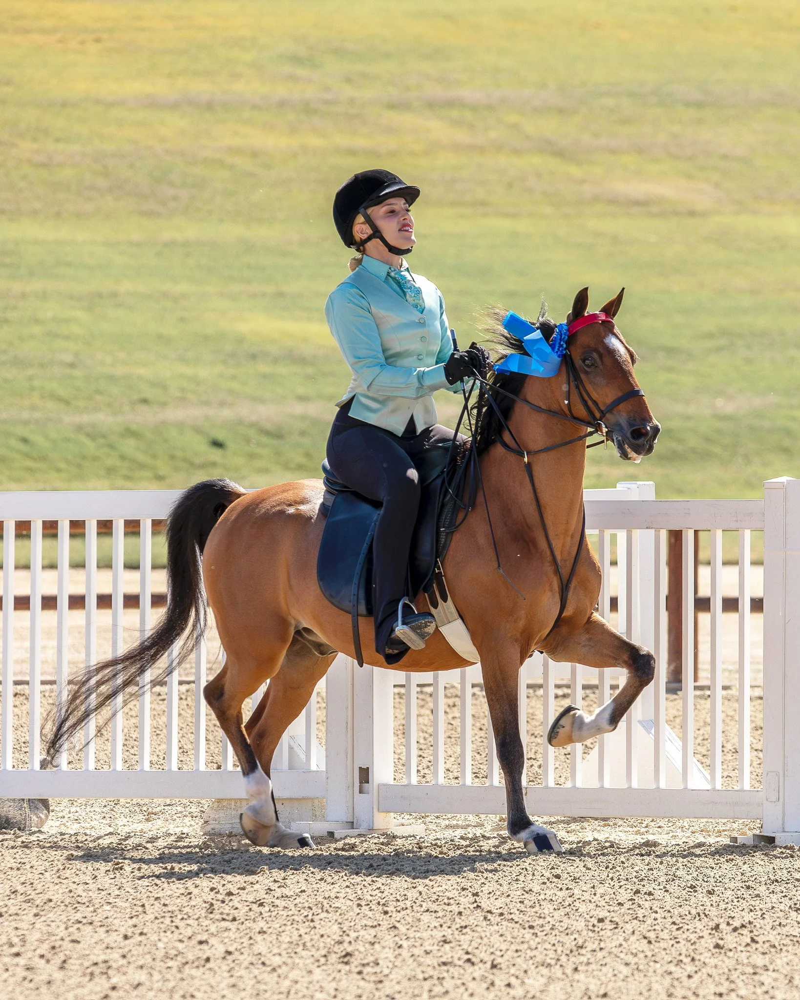 Horseback Riding Lessons Los Angeles.JPG