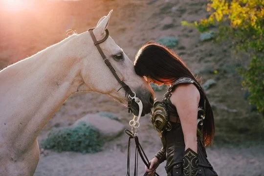 horses in Hollywood to rent for photoshoots.jpeg