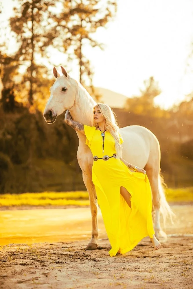 horses in Hollywood to rent for photoshoots.JPG