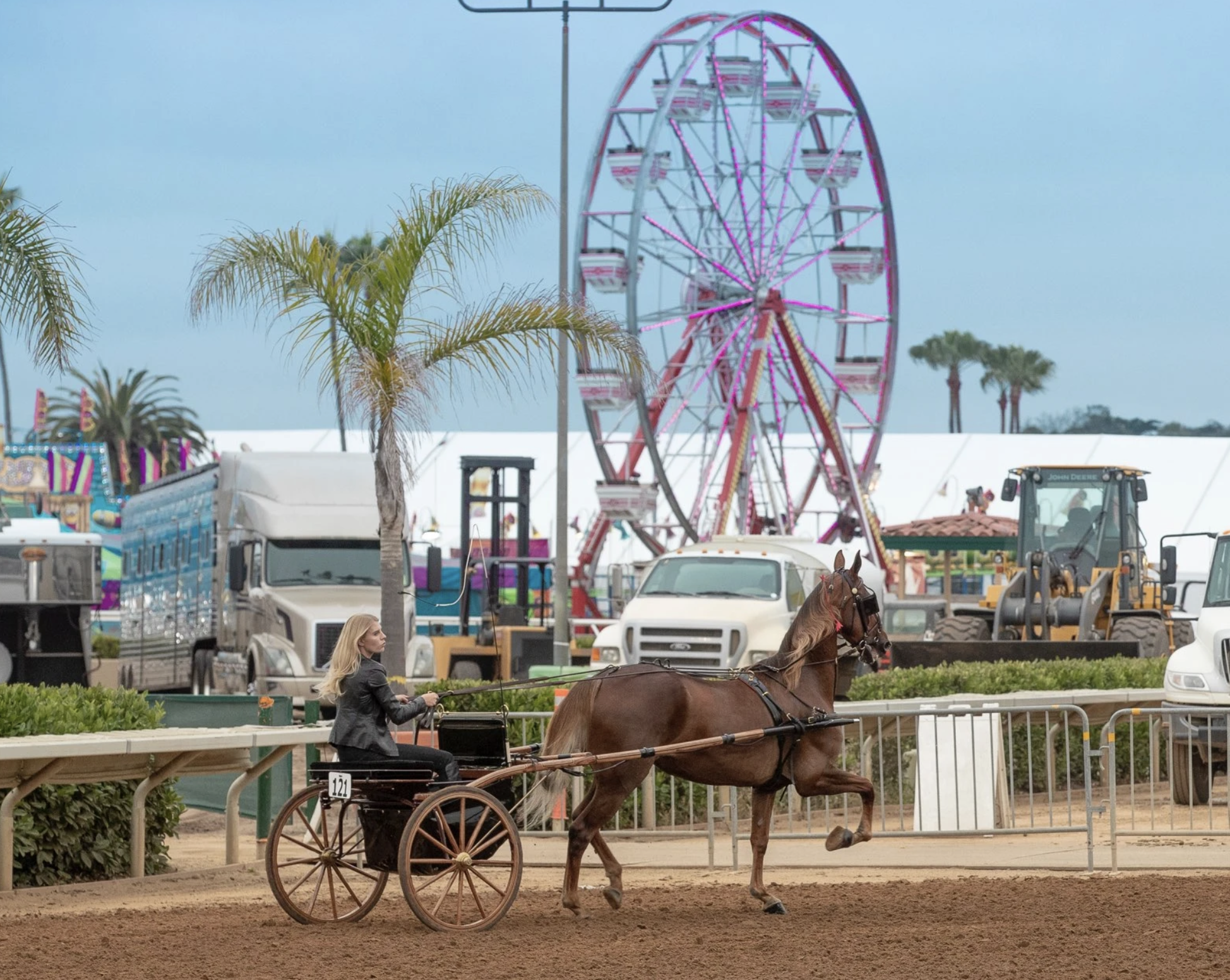 saddlebred training in Southern California.png