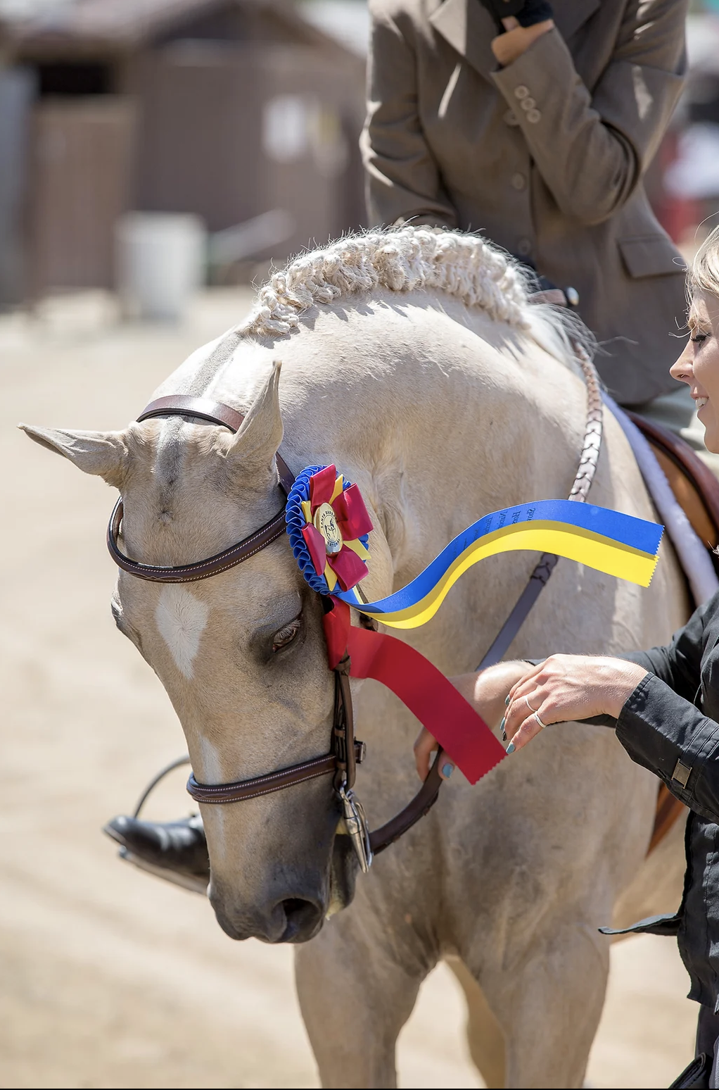 horseback riding lessons Los Angeles.png