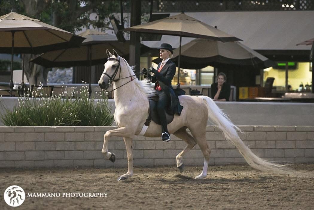 SaddleSeatGoldenGlenStablesHorseRidingLosAngeles.JPG