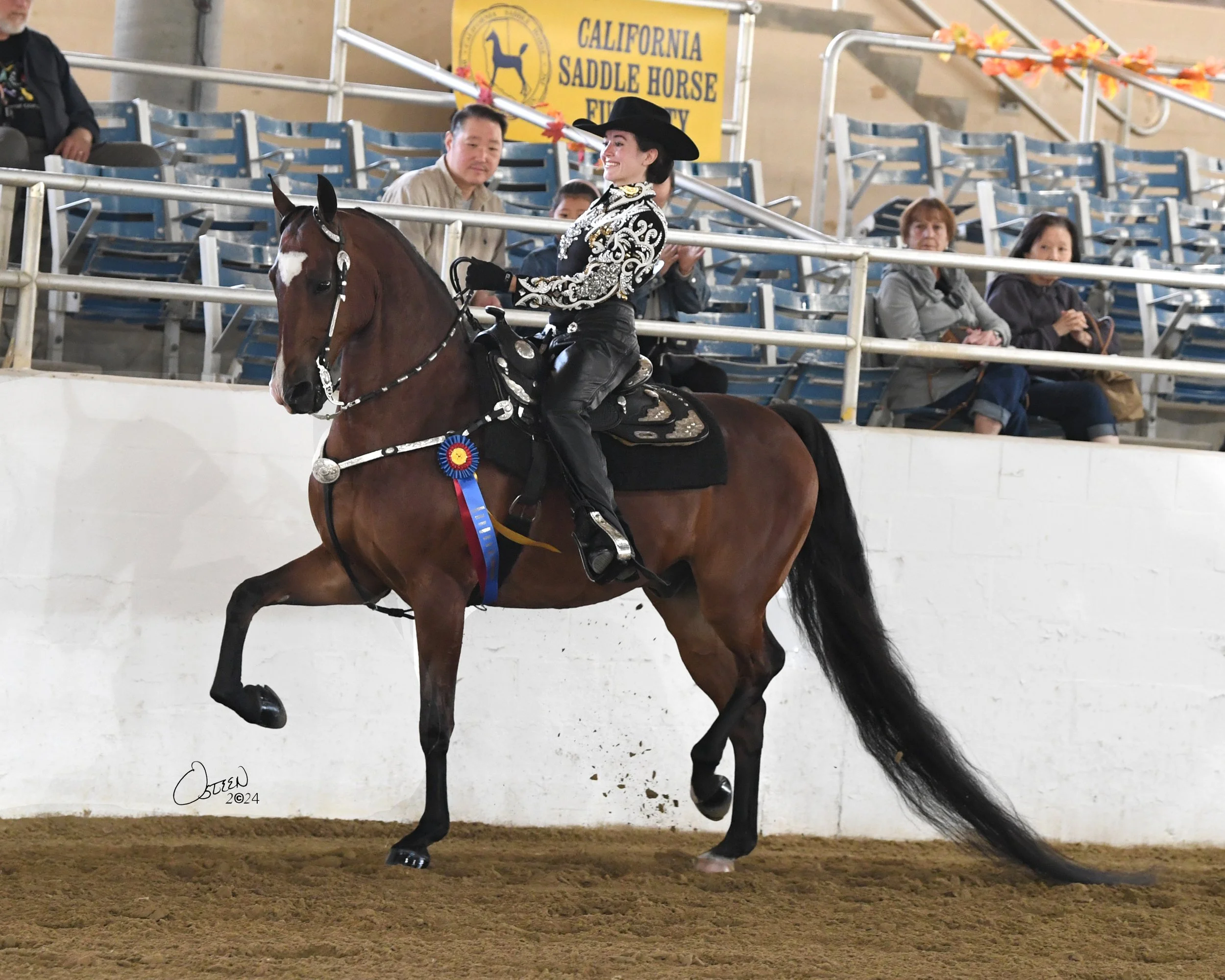 StormtheBeachCAFuturity2024.jpg