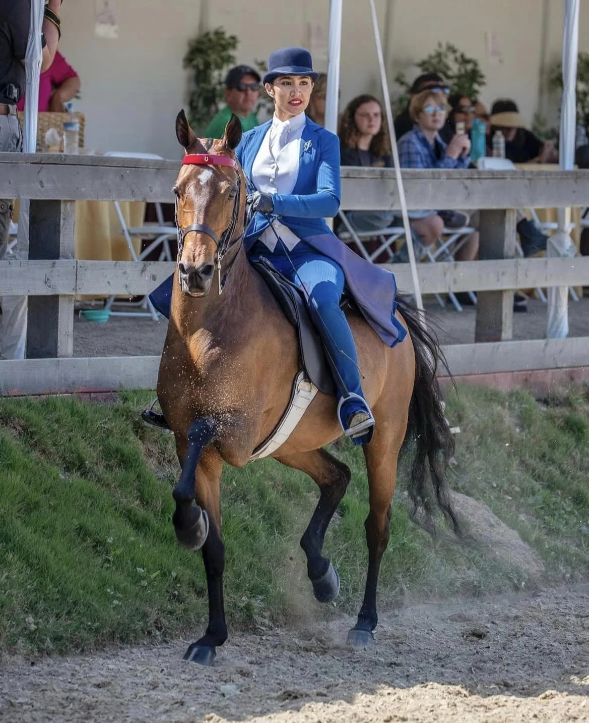 saddle seat in the Los Angeles.jpeg