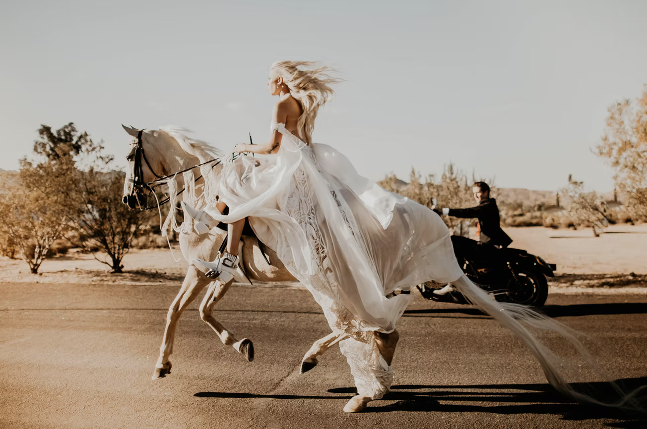 renting horses for photoshoots in Los Angeles.png